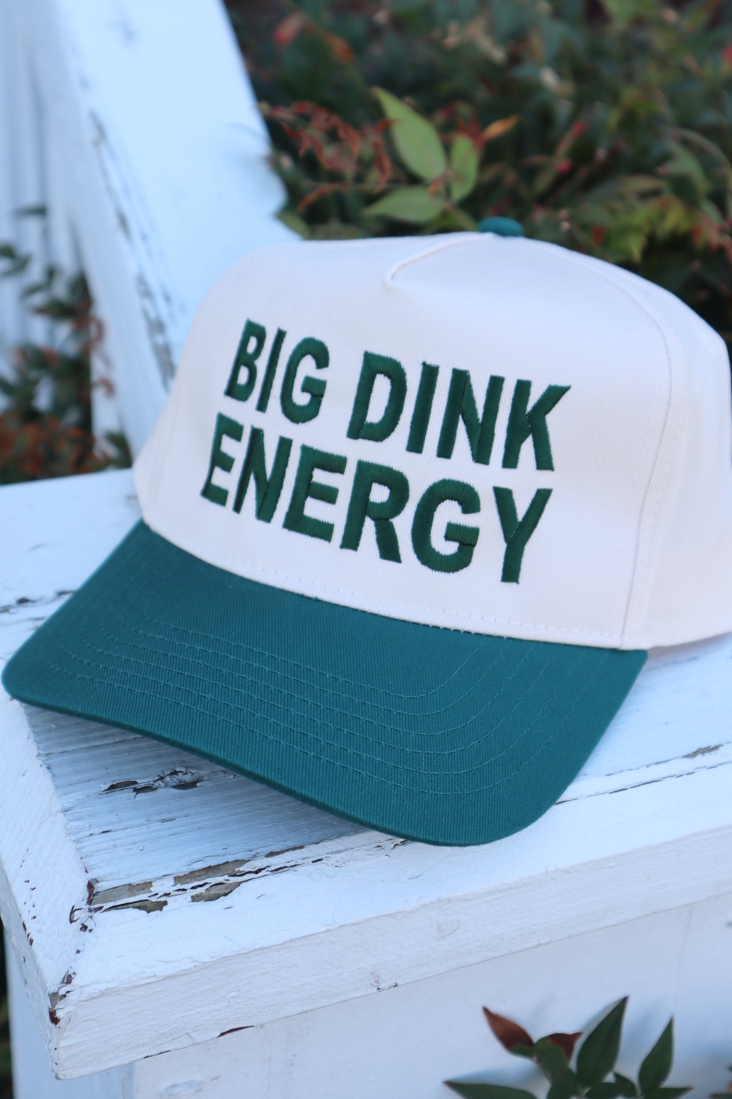 Embroidered Big Dink Energy Hat, Unisex, Adult
