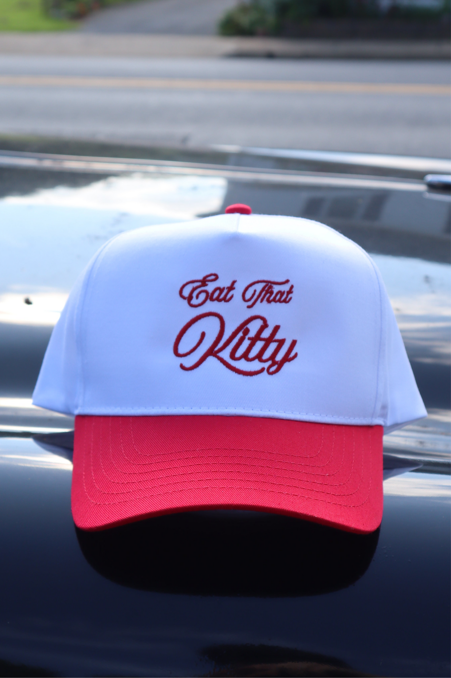 Embroidered 'Eat That Kitty' Hat, Unisex, Adult
