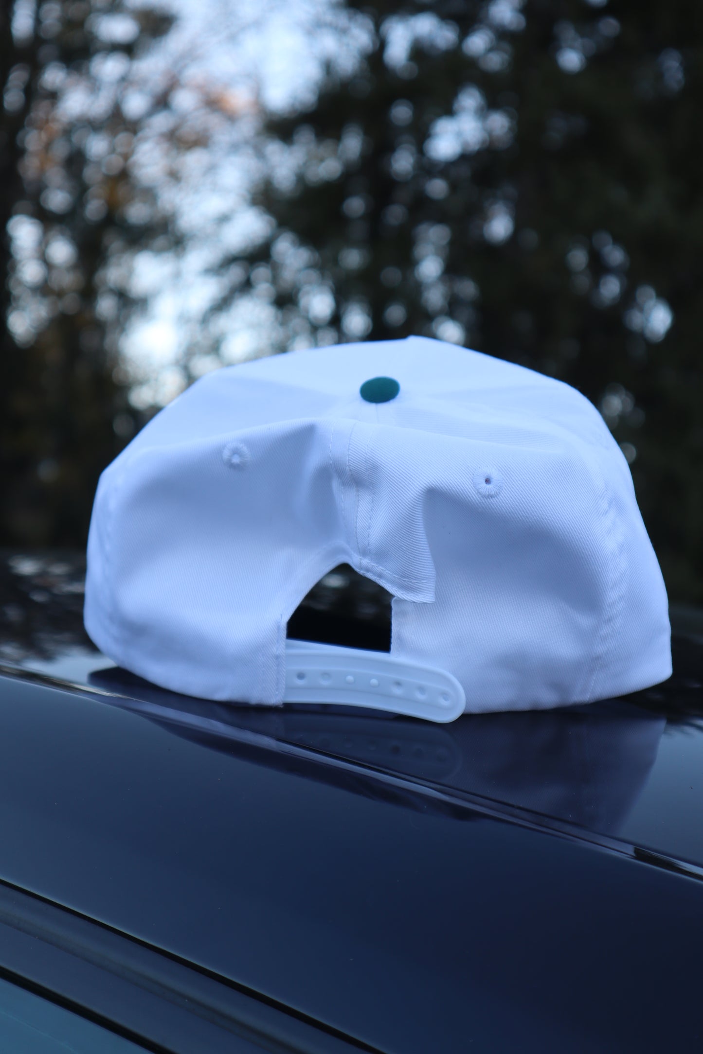 Embroidered 'Put it on Santas Tab' Hat, Unisex, Adult