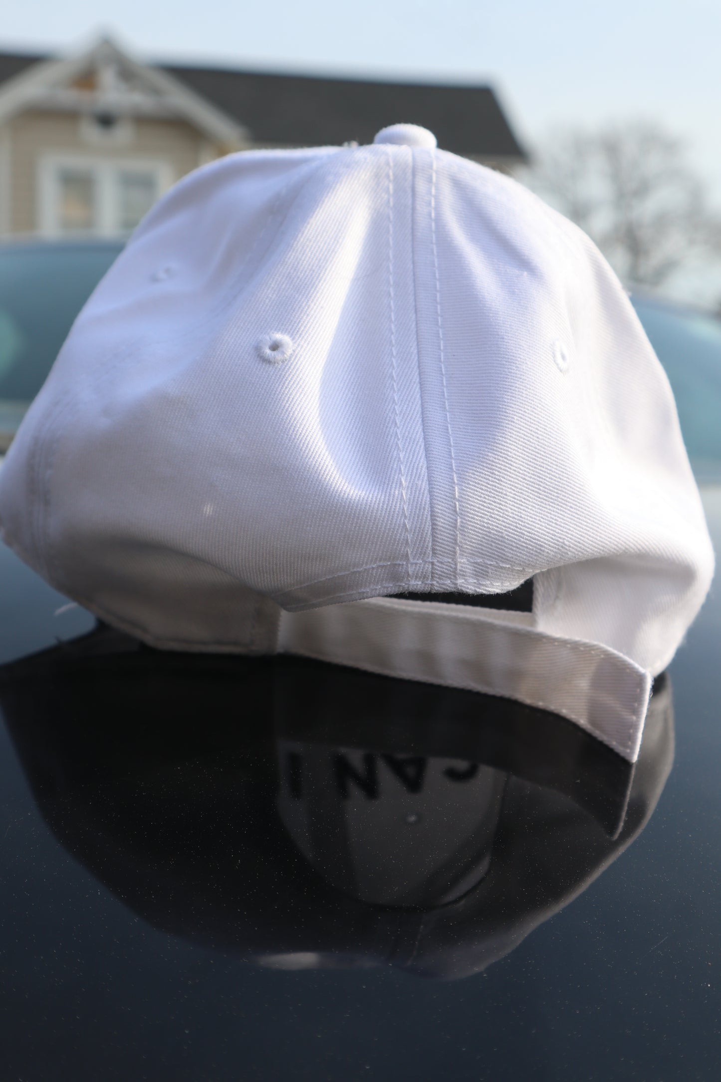 Embroidered "can i be frank" Hats, Unisex, Adult