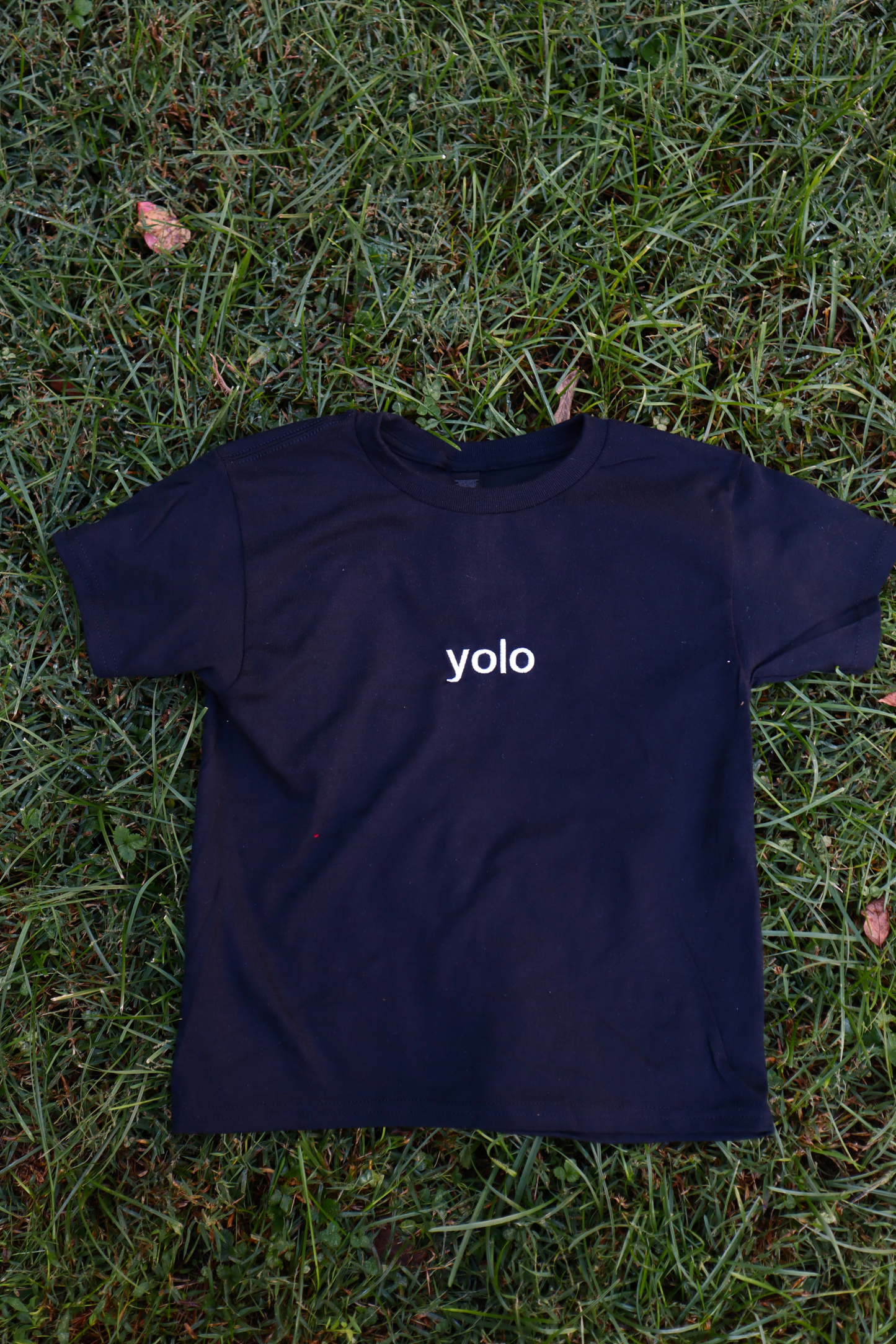 Navy blue t-shirt with 'yolo' text on grass