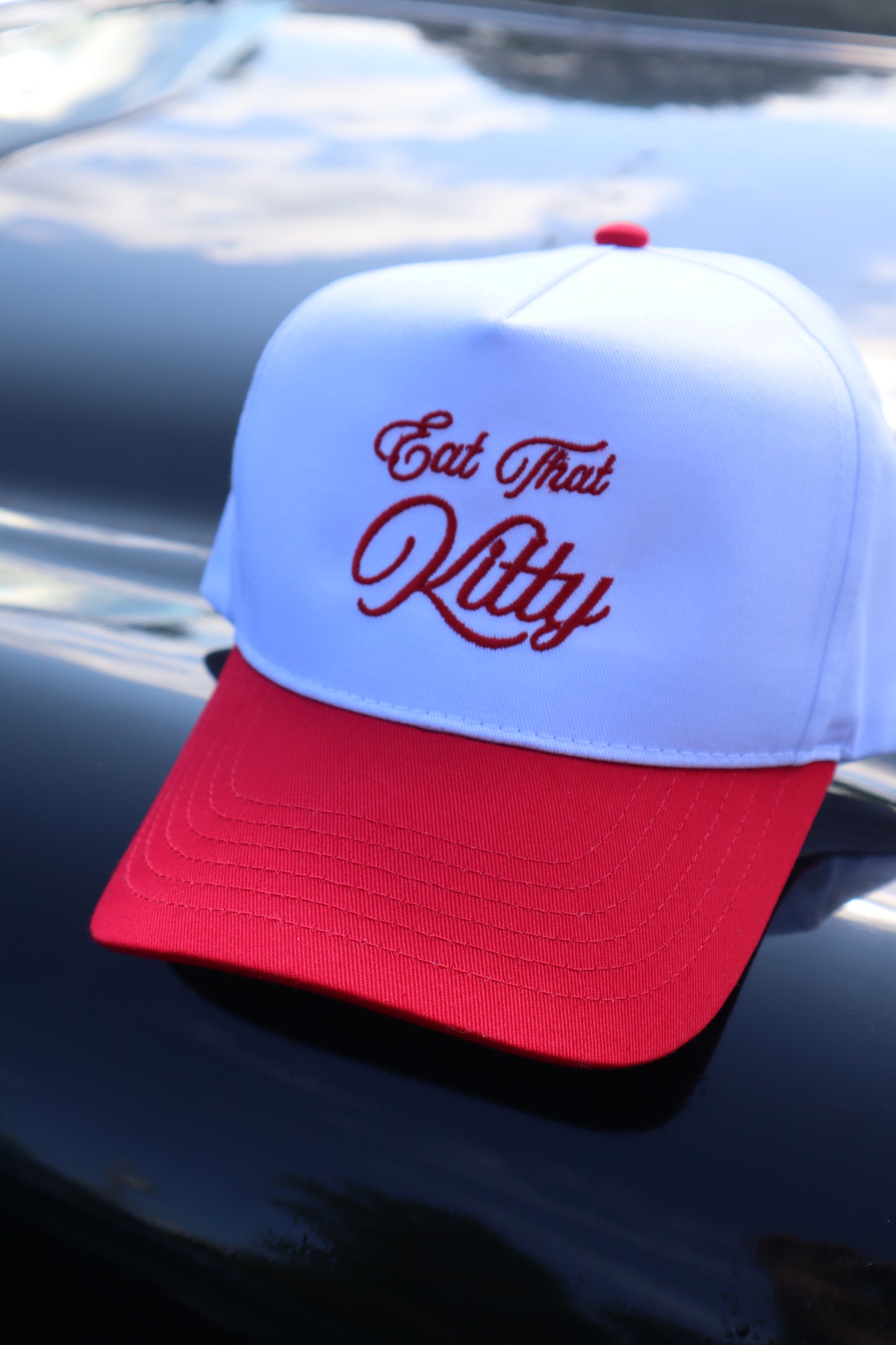 Embroidered 'Eat That Kitty' Hat, Unisex, Adult