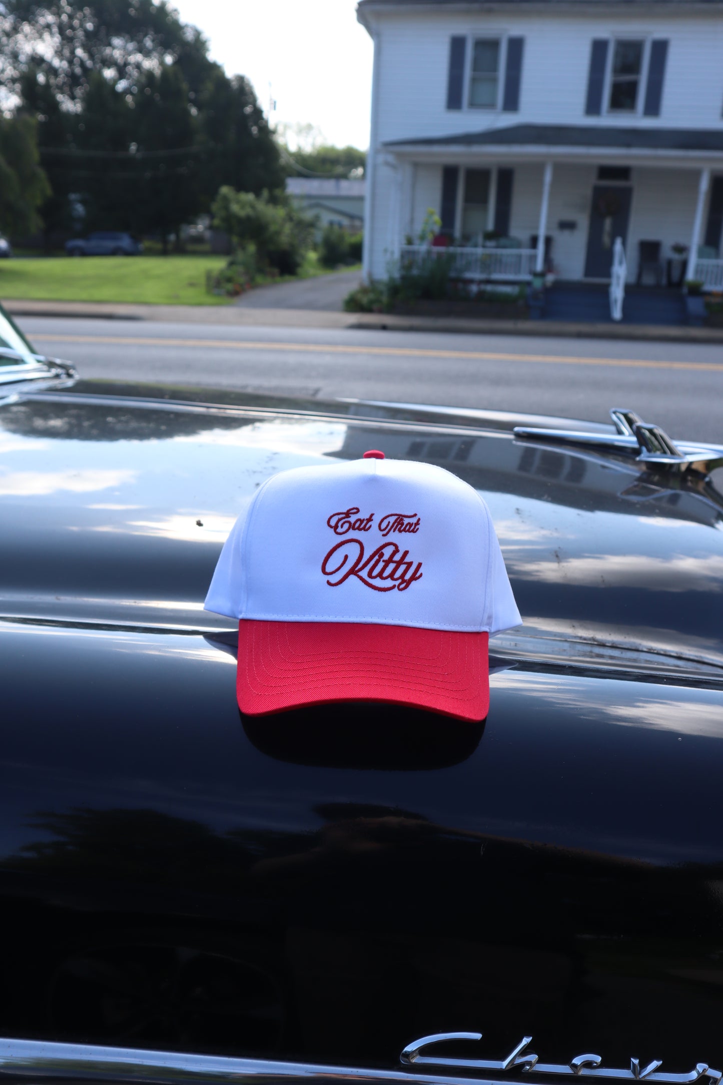 Embroidered 'Eat That Kitty' Hat, Unisex, Adult
