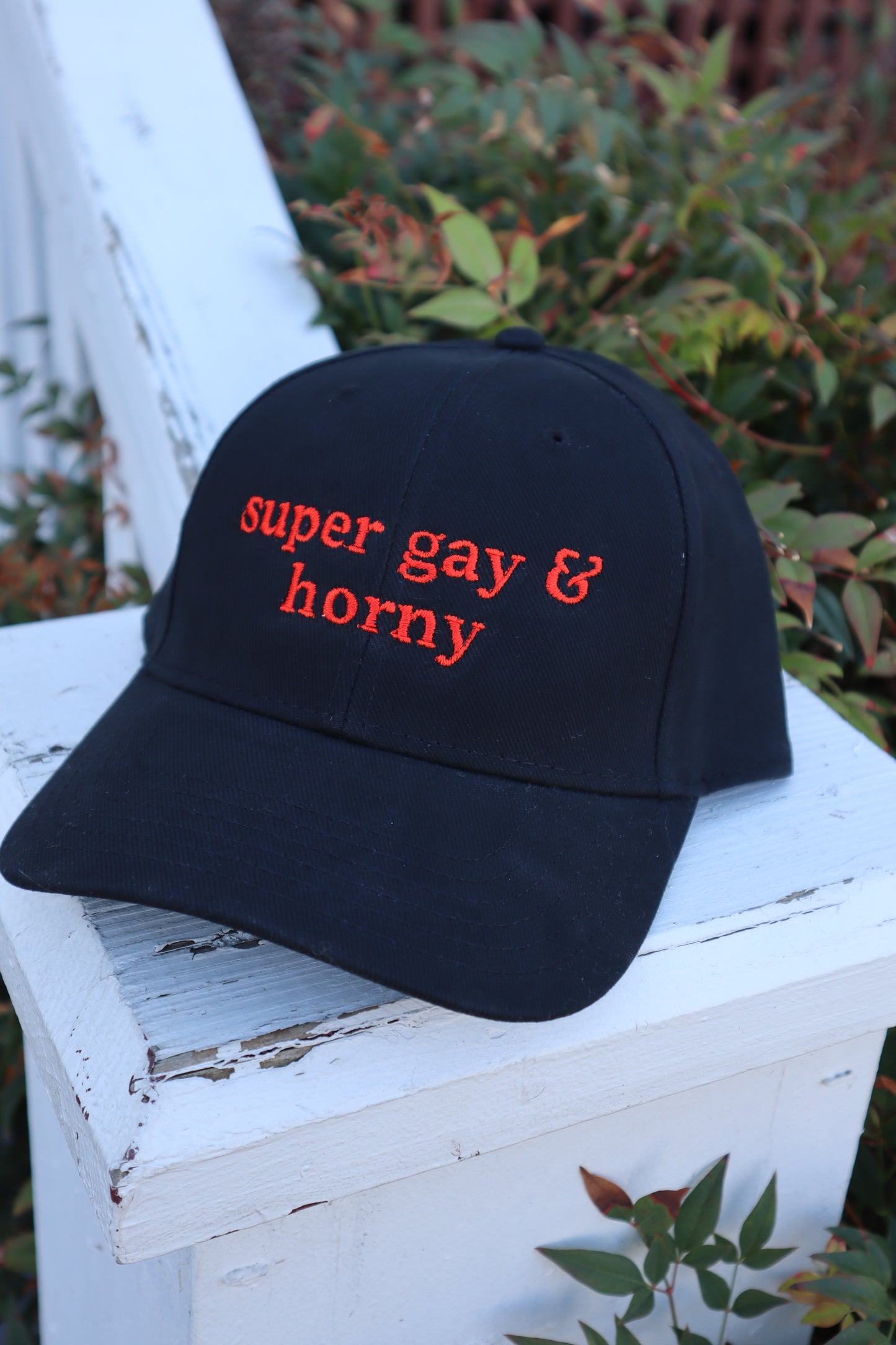 Embroidered Super Gay and Horn Hat, Unisex, Adult