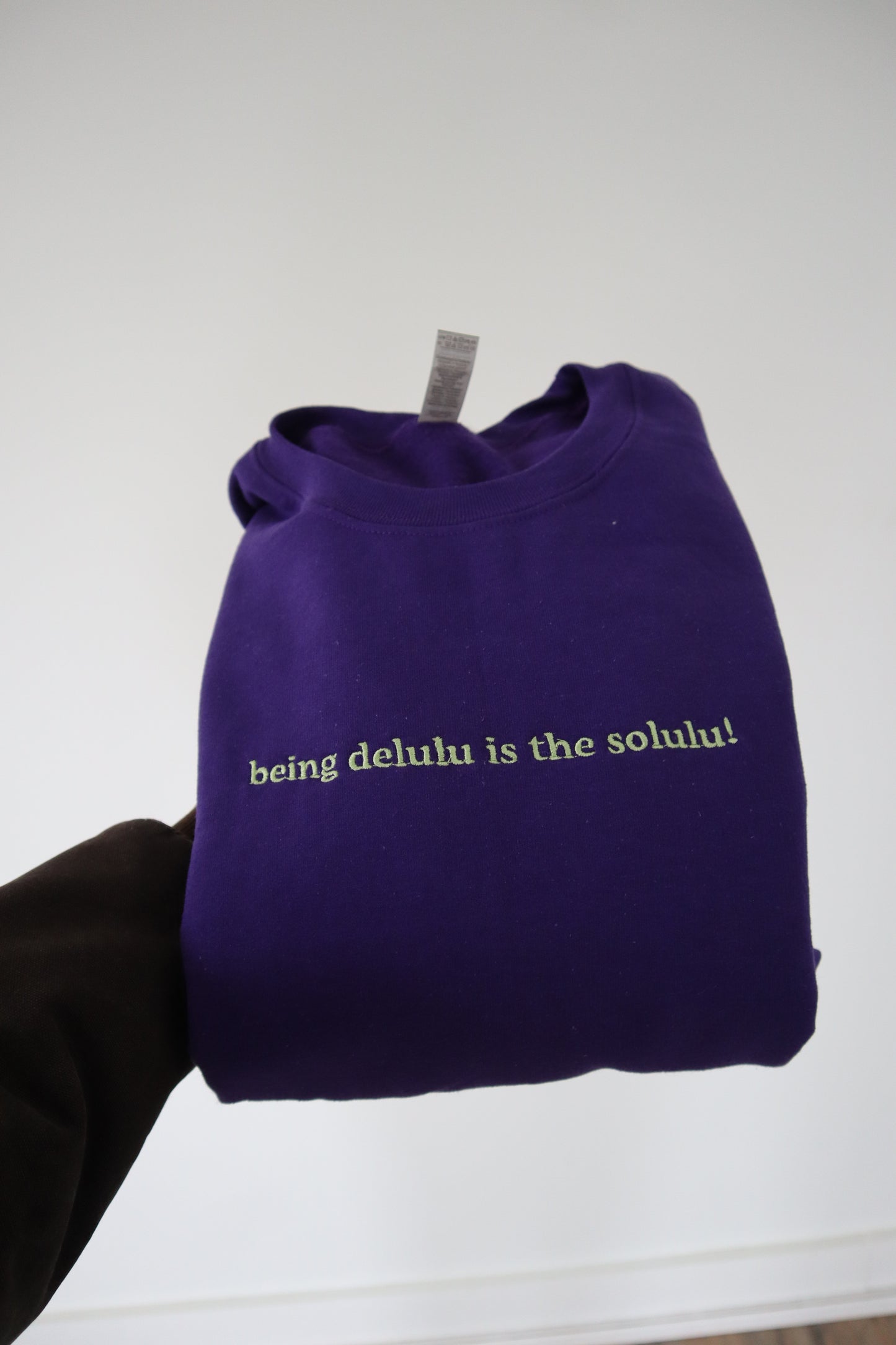 Embroidered 'being delulu is the solulu!' Hoodie or Crew Neck, Long Sleeve, Classic fit, Unisex, Adult