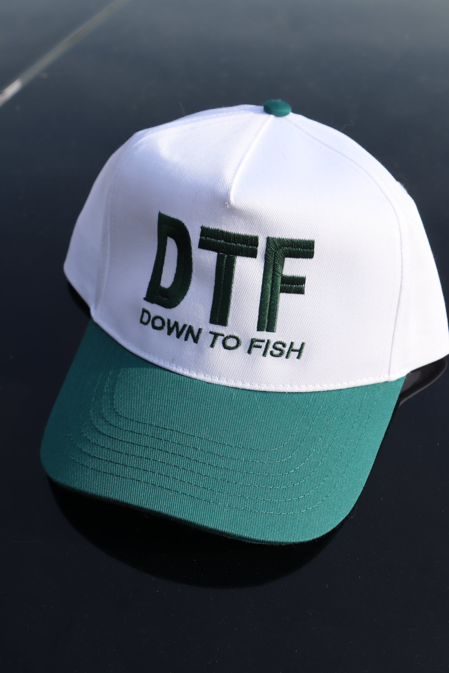 Embroidered "DTF down to fish" Hats, Unisex, Adult
