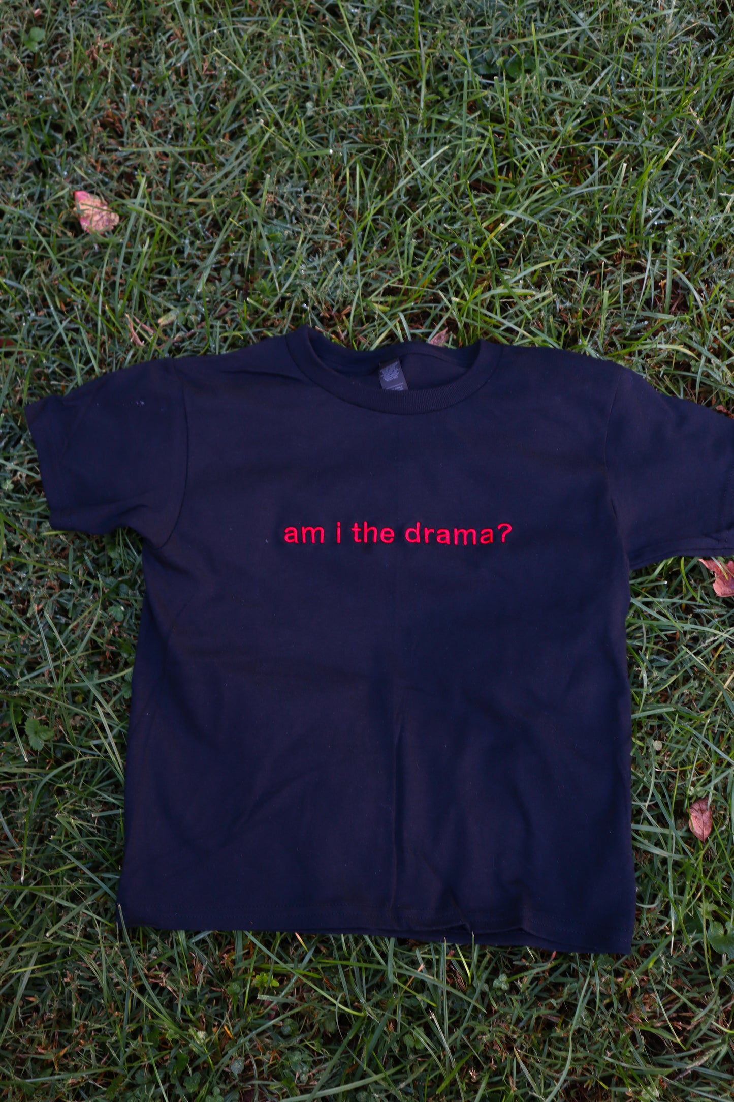 Embroidered am i the drama? Baby Tee, Long Crop Tops