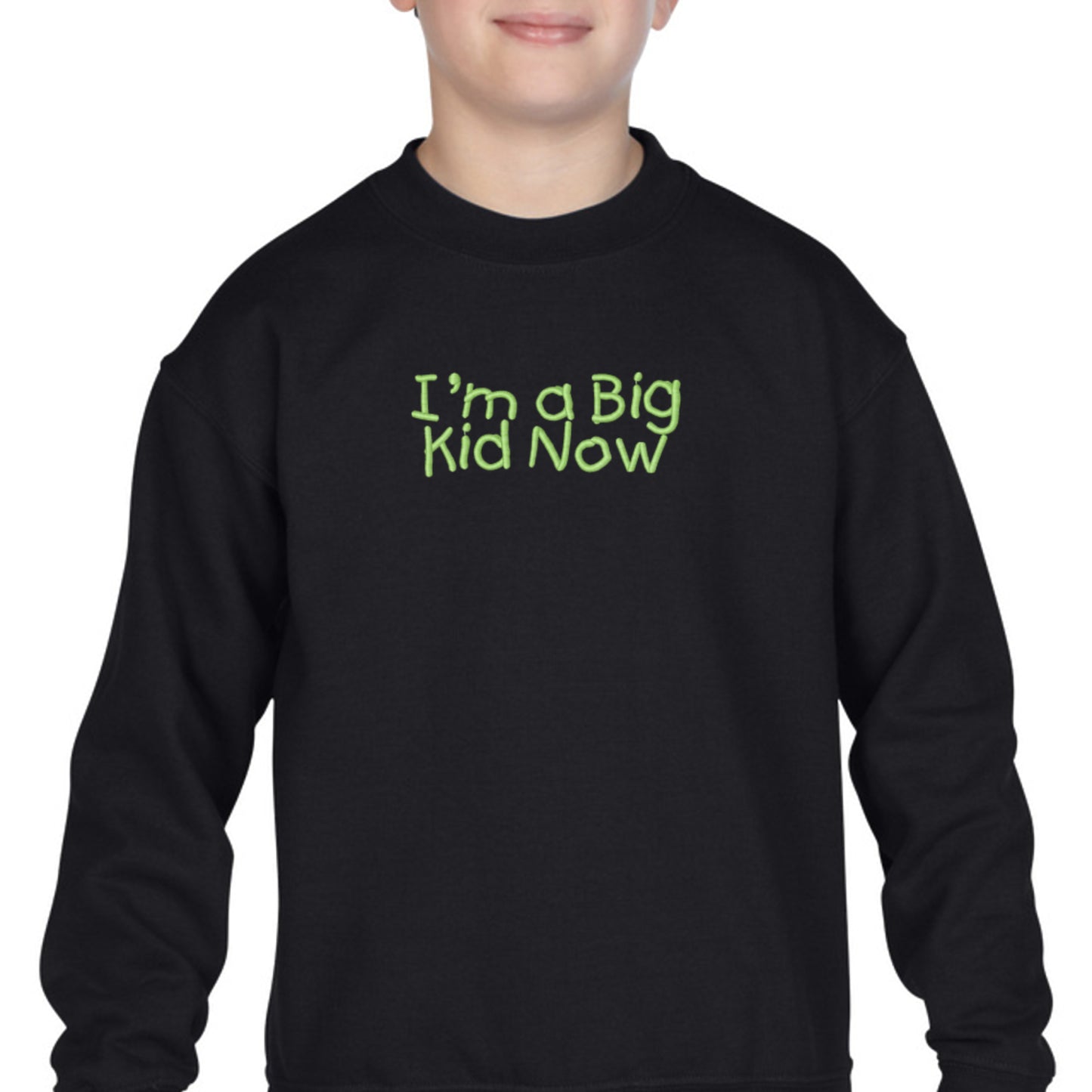 Youth Embroidered 'I'm a Big Kid Now" Hoodie or Crewneck. Long sleeve, Classic fit, Unisex