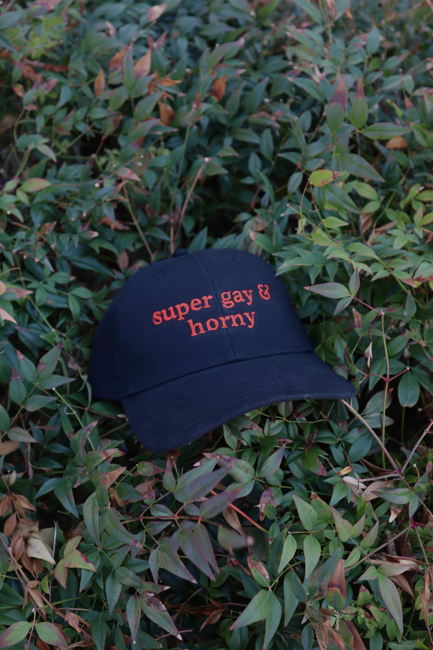 Embroidered Super Gay and Horn Hat, Unisex, Adult
