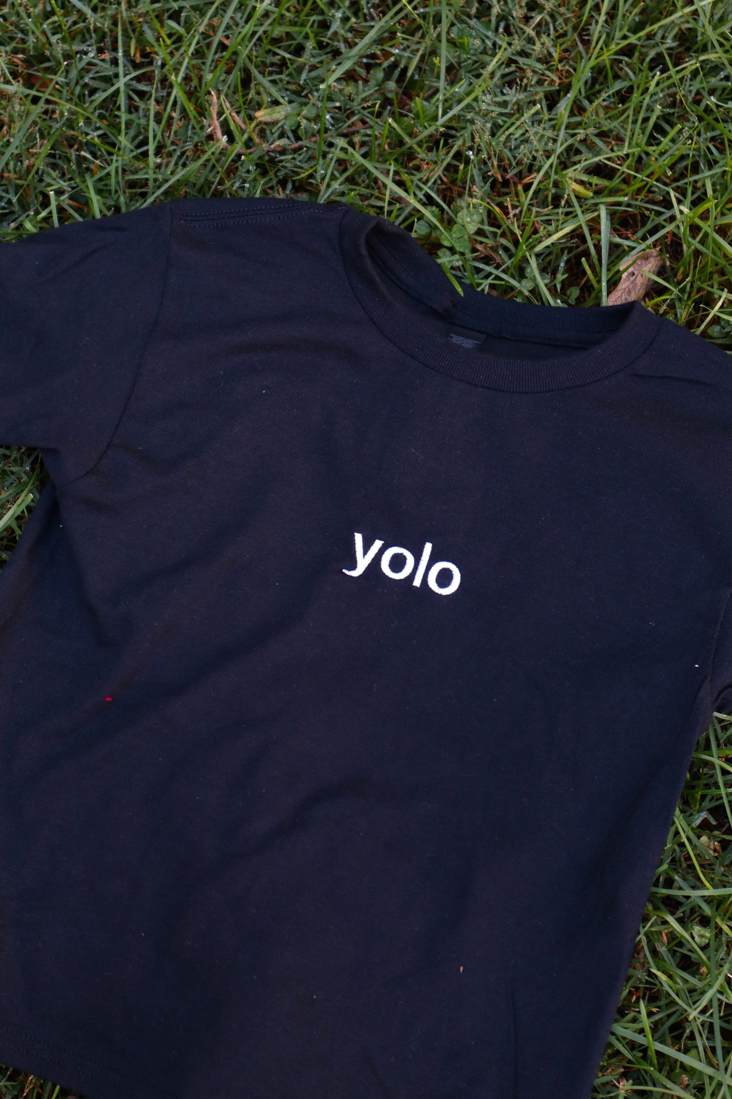 Embroidered 'yolo' Baby Tee, Long Crop Tops