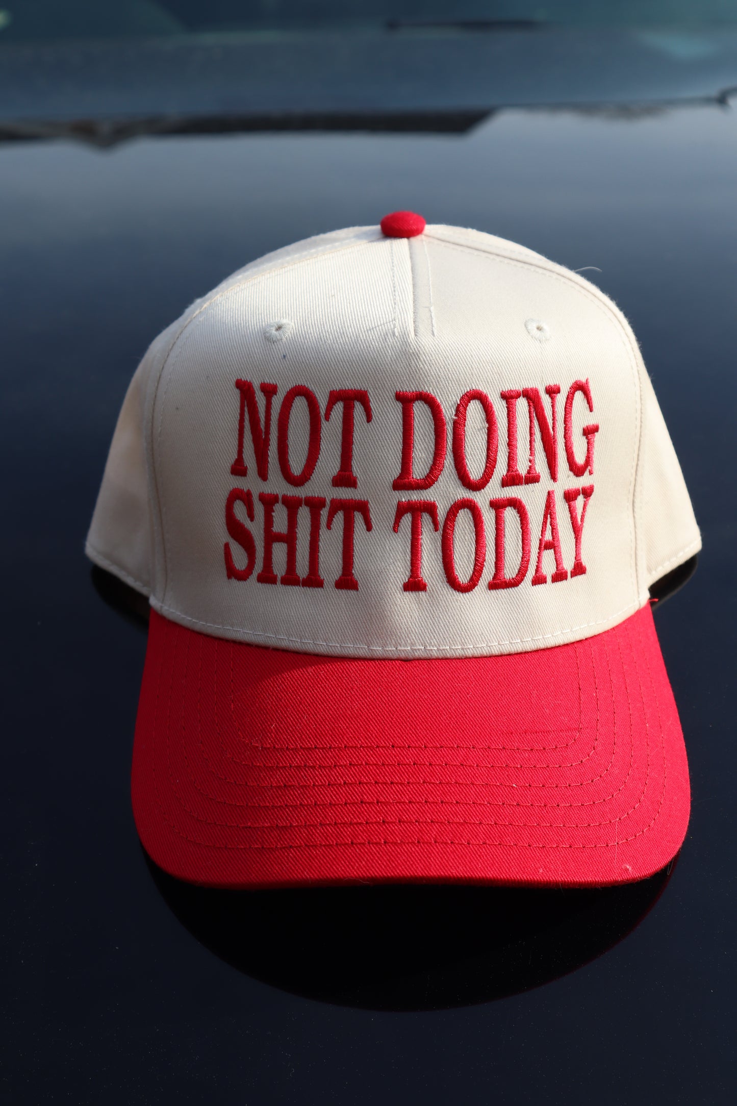 Embroidered "Not Doing Shi Today" Hats, Unisex, Adult