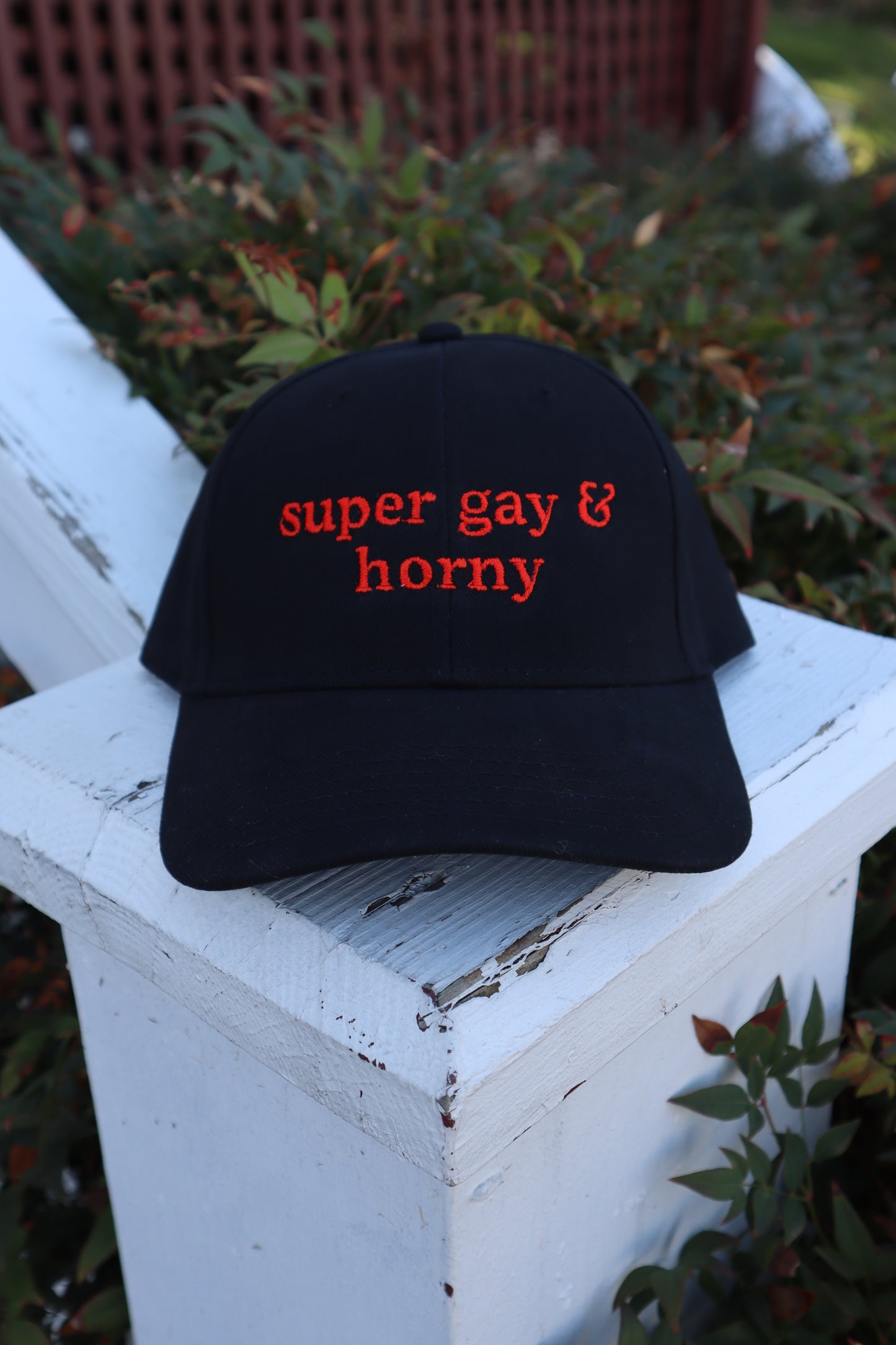 Embroidered Super Gay and Horn Hat, Unisex, Adult