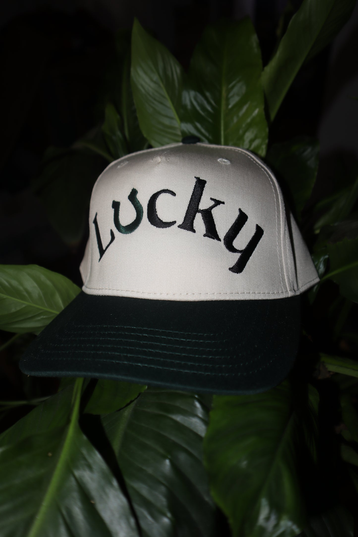 Embroidered 'Lucky Horseshoe' Hat, Unisex, Adult