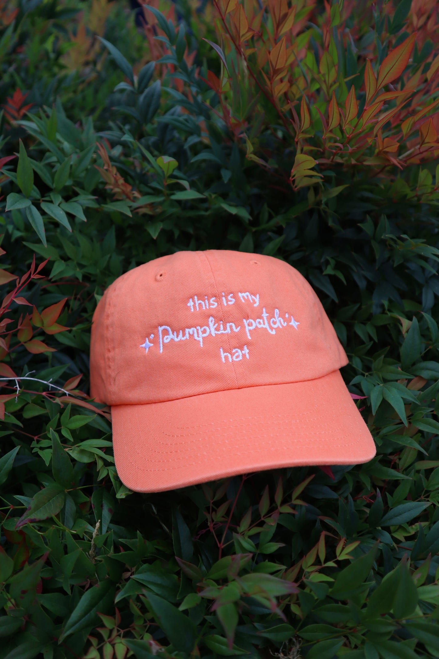 Embroidered This Is My Pumpkin Patch Hat, Adult, Unisex, Washed Chino Cap