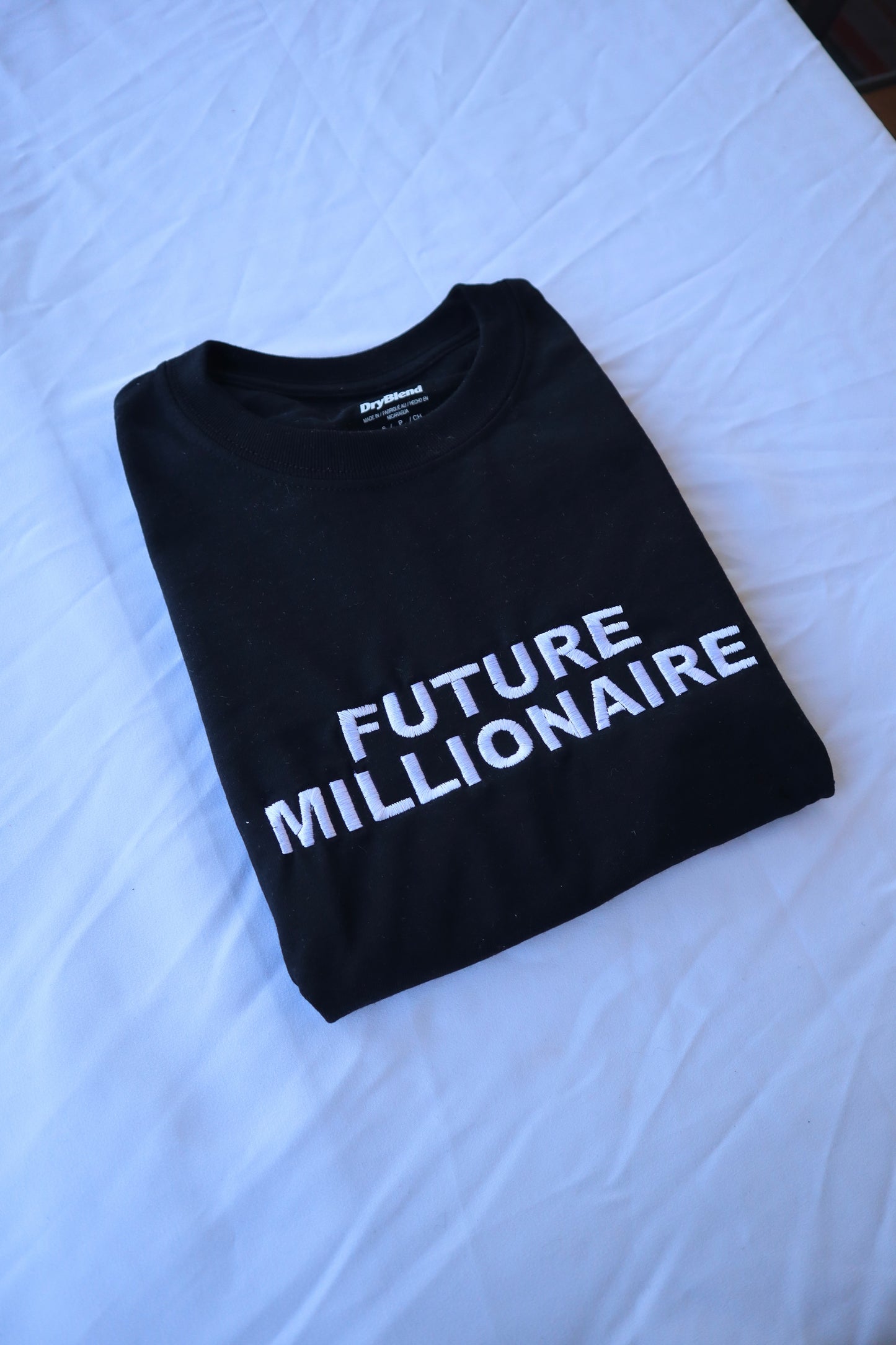 Embroidered 'Future Millionaire' Hoodie or Crew Neck, Long Sleeve, Classic fit, Unisex, Adult