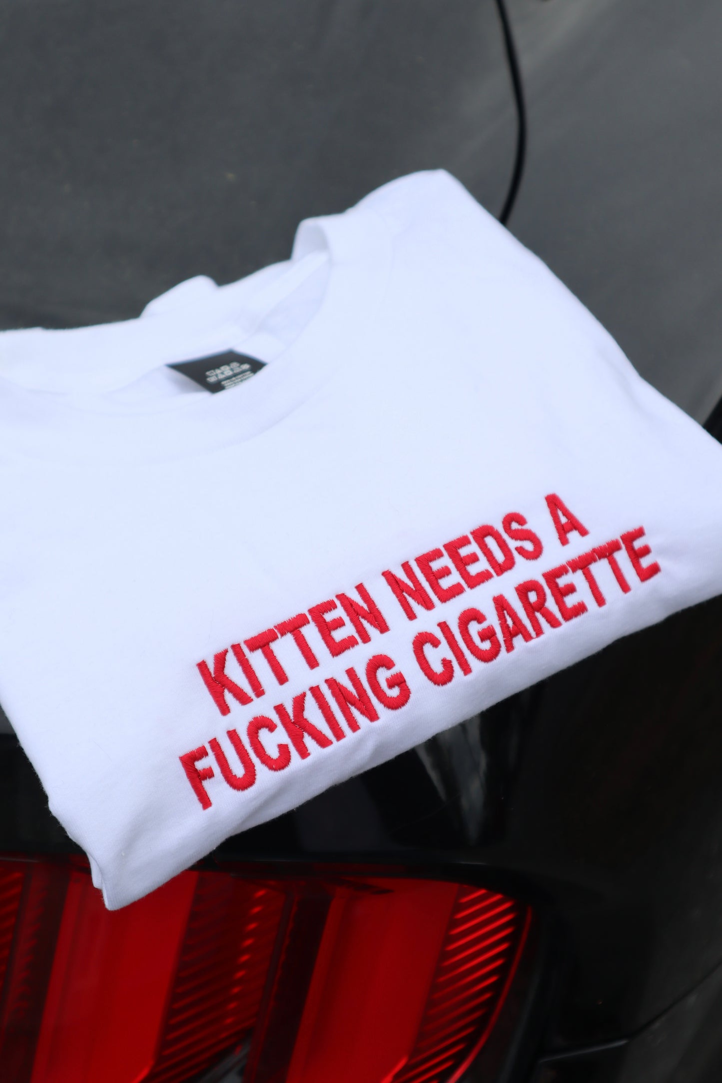 Embroidered Kitten Needs a Cig or a Bee, Short Sleeve, Modern Classic Fit, Unisex, Adult T-Shirt