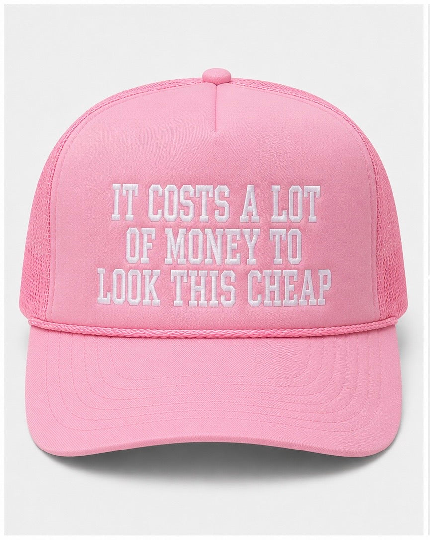 Embroidered It Costs a Lot of Money Adult Trucker Hat