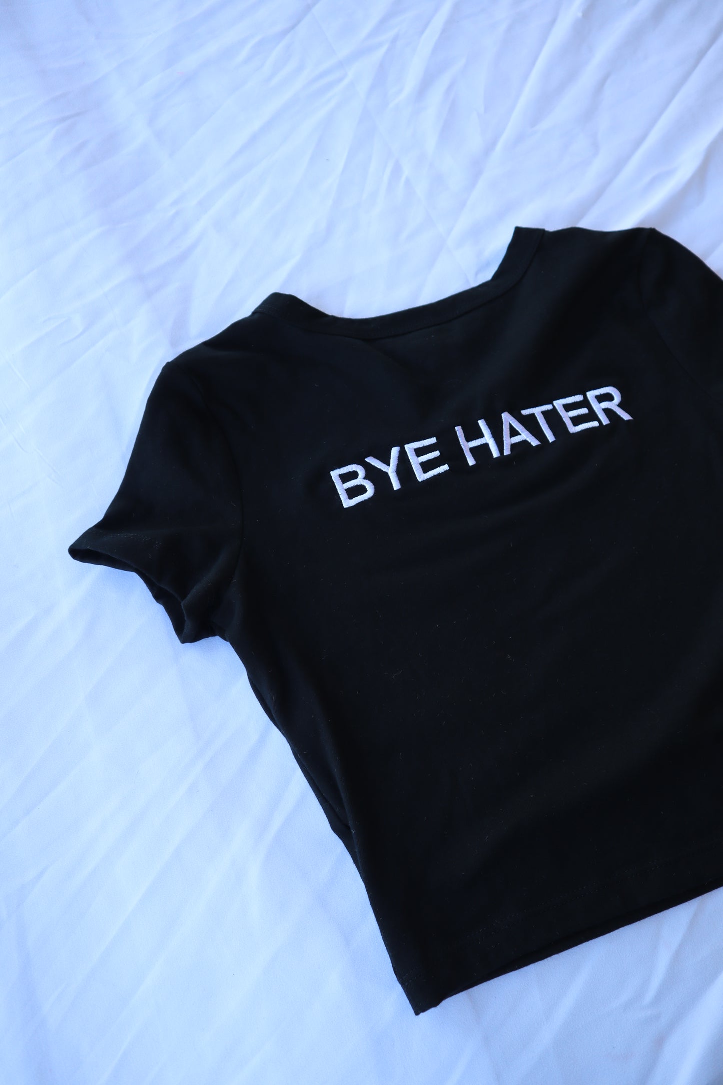 Embroidered ‘Hi Hater Bye Hater’ Cropped, Short Sleeve, Petite fit, Adult, Female, T-Shirt