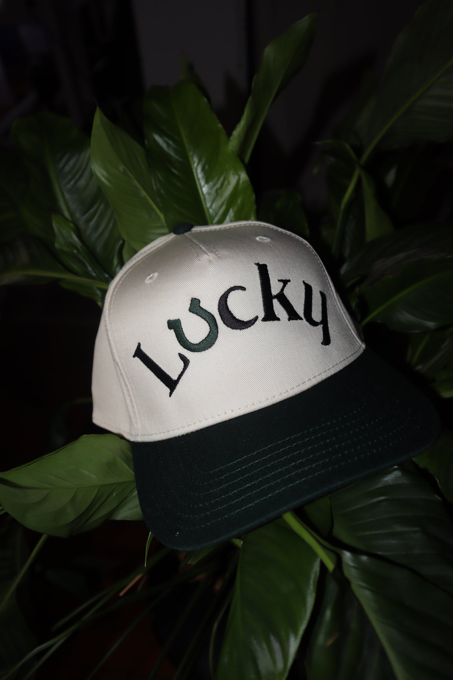 Embroidered 'Lucky Horseshoe' Hat, Unisex, Adult