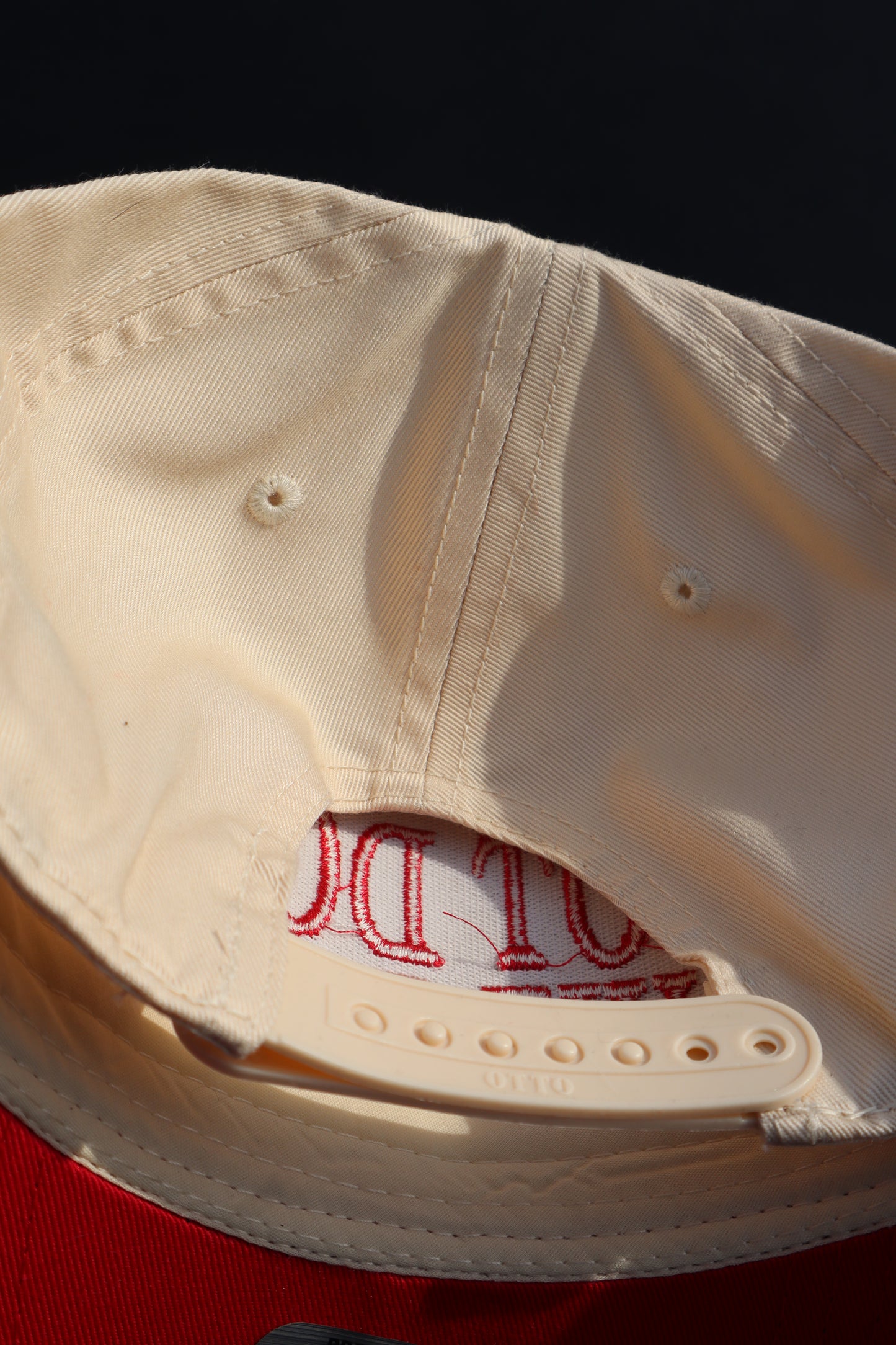 Embroidered "Not Doing Shi Today" Hats, Unisex, Adult