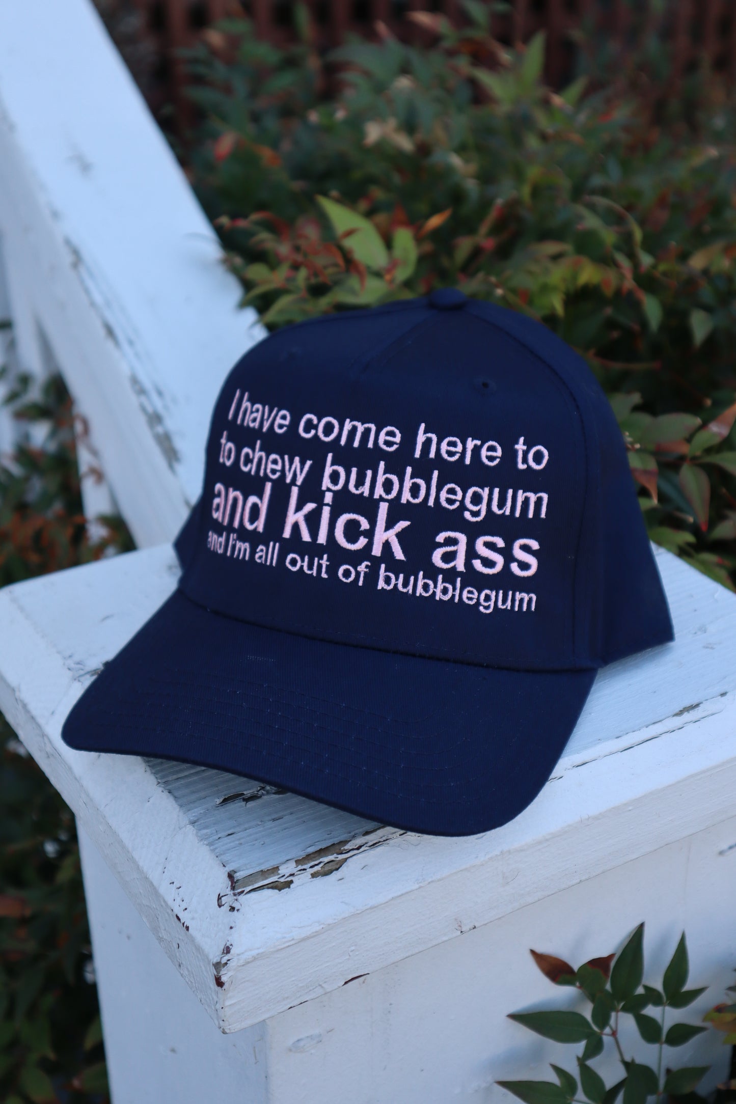 Embroidered I Have Come Here to Chew Bubble Gum Hat, Unisex, Adult