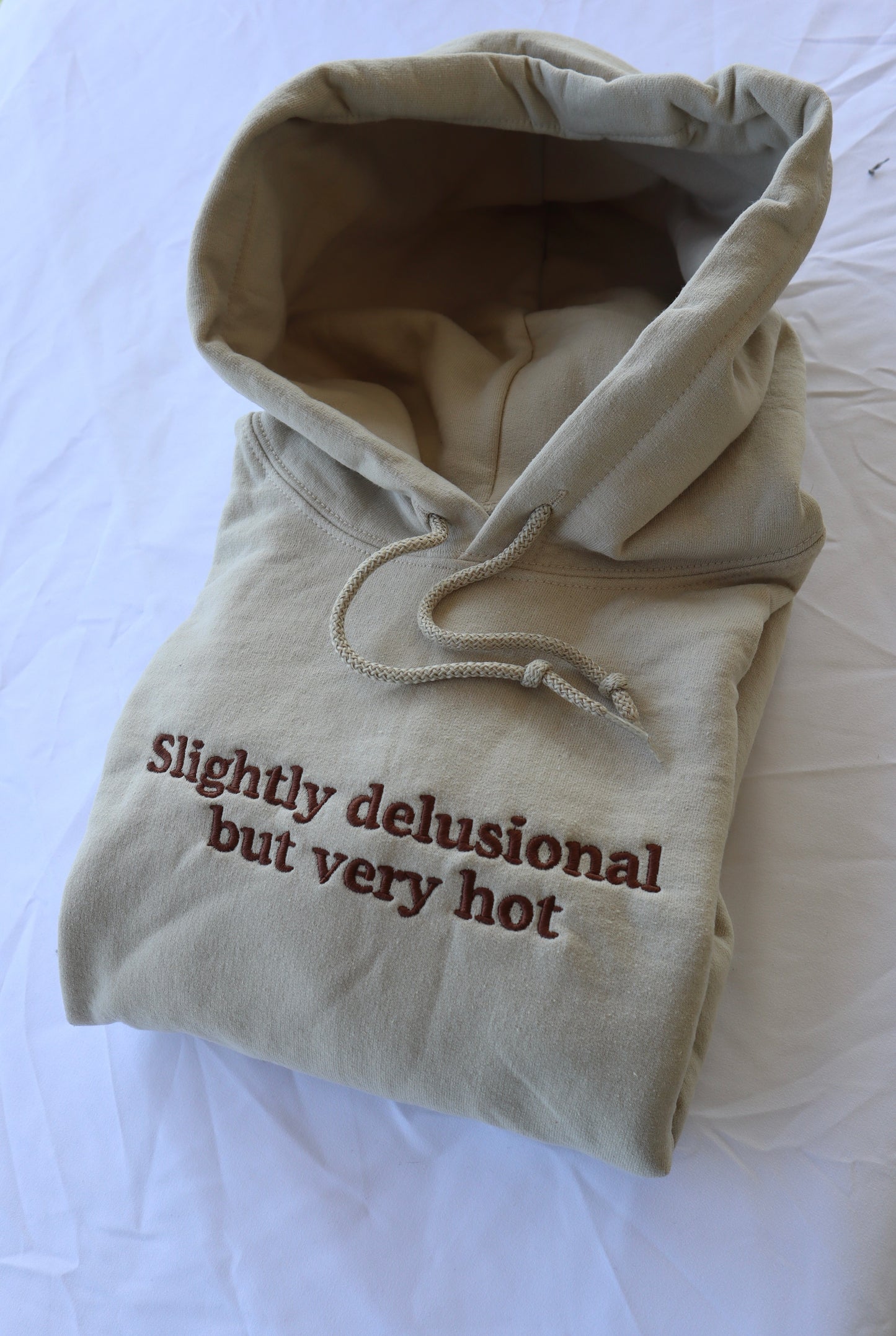 Embroidered 'Slightly Delusional but Very Hot' Hoodie or Crew Neck, Long Sleeve, Classic fit, Unisex, Adult