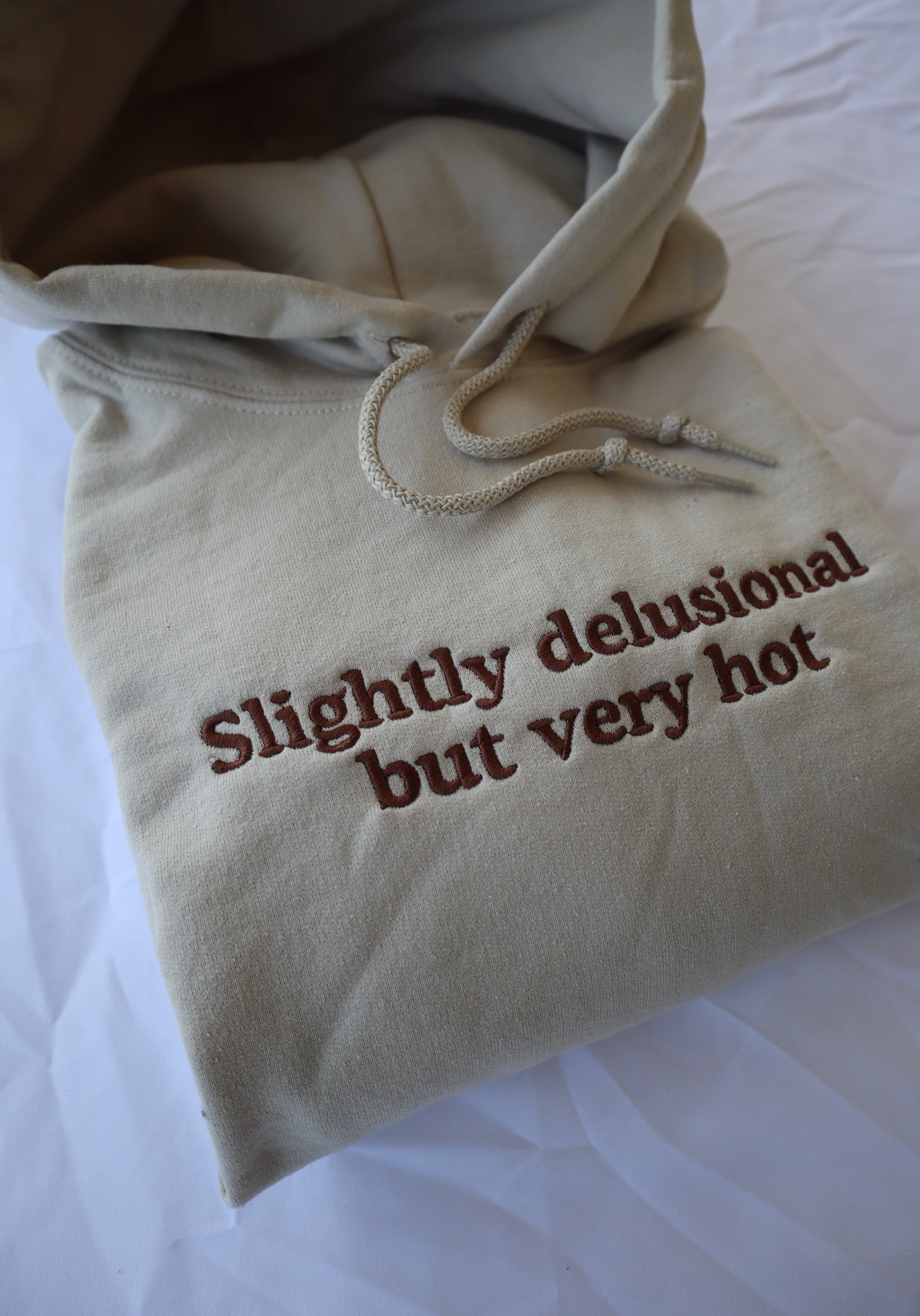 Embroidered 'Slightly Delusional but Very Hot' Hoodie or Crew Neck, Long Sleeve, Classic fit, Unisex, Adult