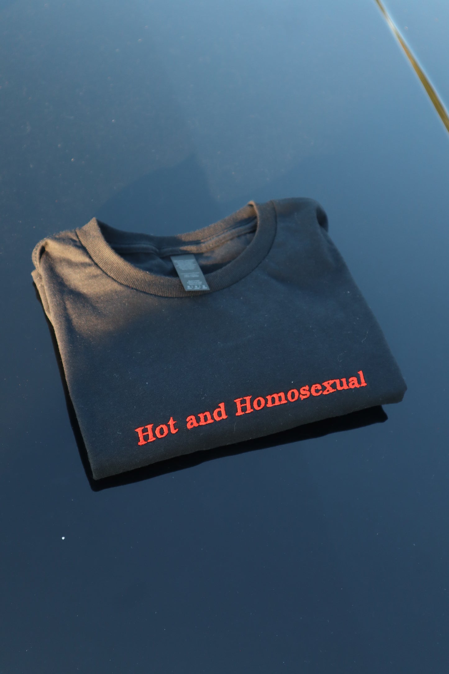 Embroidered hot and homo, Short Sleeve, Petite fit, Unisex, Long Crop Top