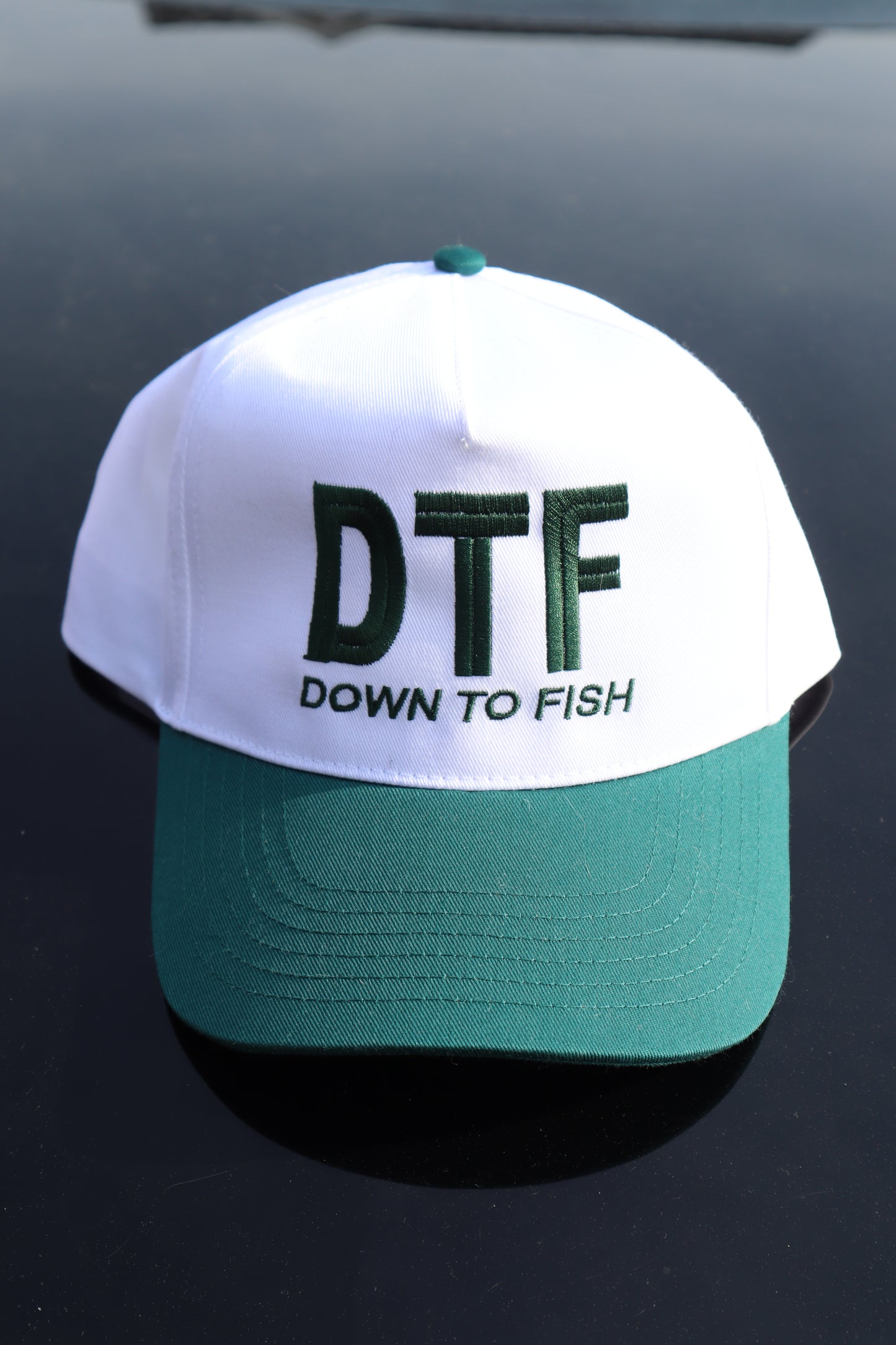 Embroidered "DTF down to fish" Hats, Unisex, Adult