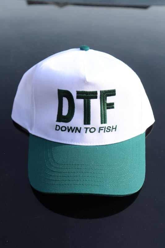 Embroidered "DTF down to fish" Hats, Unisex, Adult