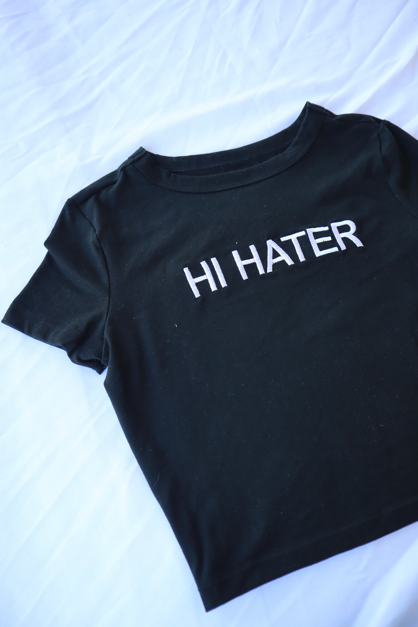 Embroidered ‘Hi Hater Bye Hater’ Cropped, Short Sleeve, Petite fit, Adult, Female, T-Shirt