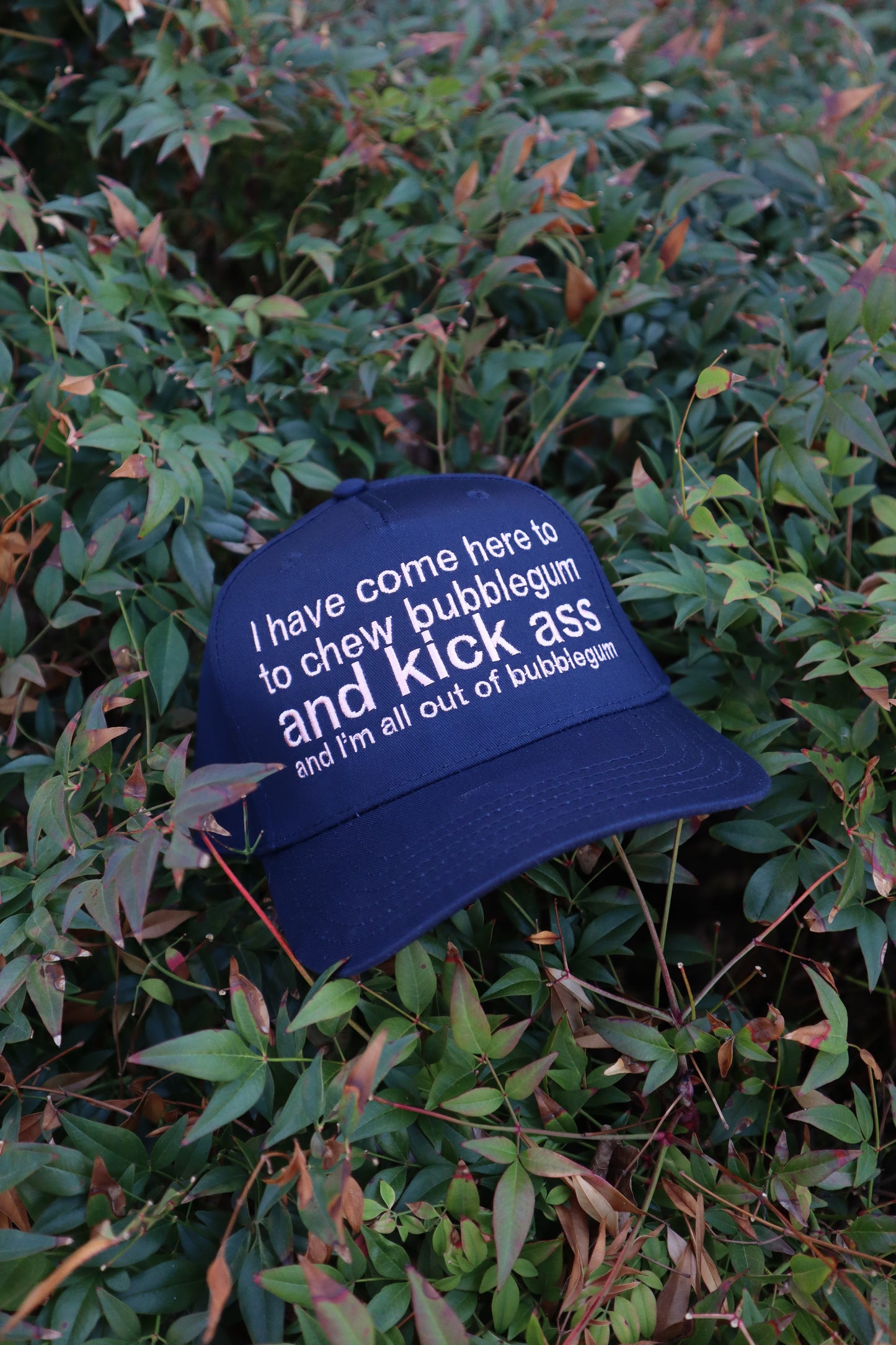 Embroidered I Have Come Here to Chew Bubble Gum Hat, Unisex, Adult