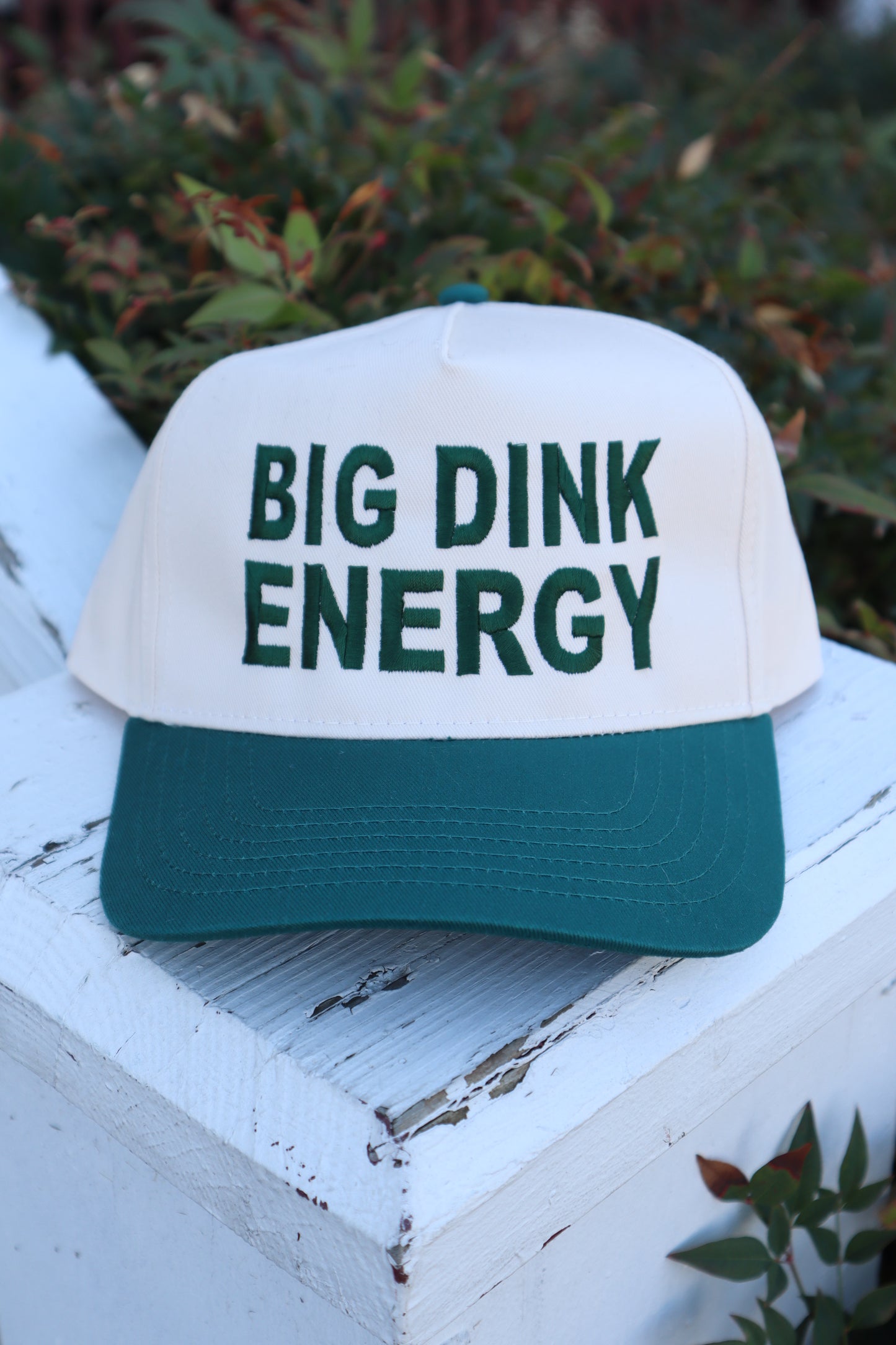 Embroidered Big Dink Energy Hat, Unisex, Adult