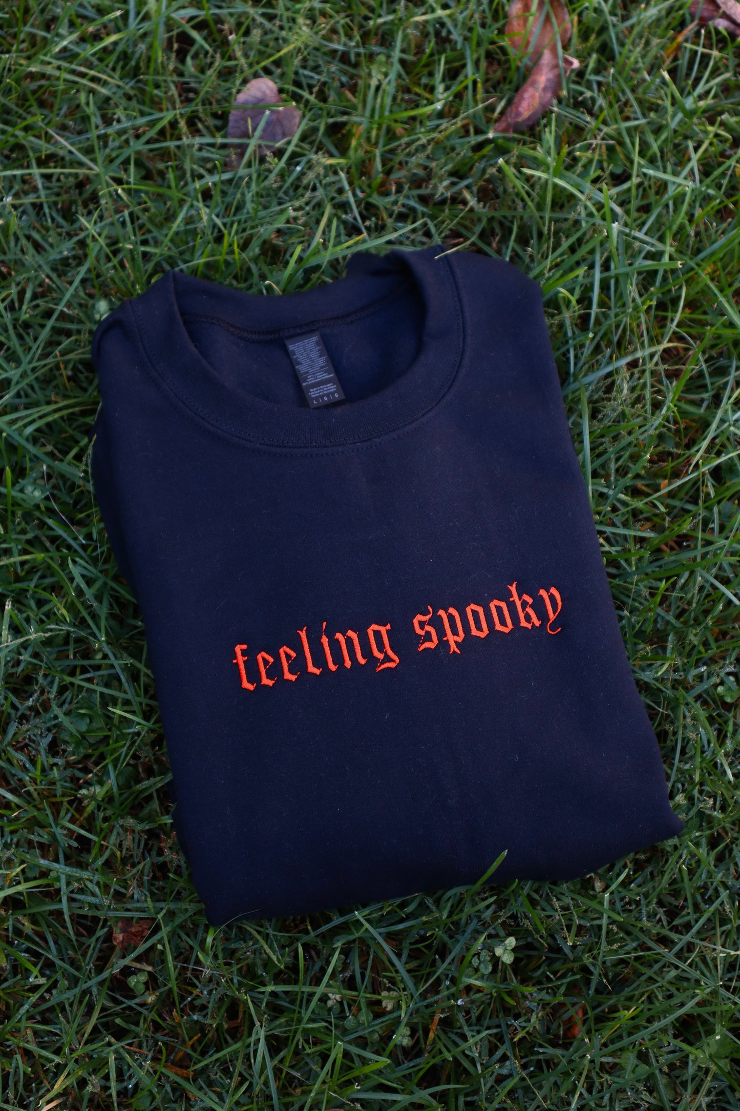 Embroidered 'Spooky or Feeling Spooky' Hoodie or Crew Neck, Long Sleeve, Classic fit, Unisex, Adult