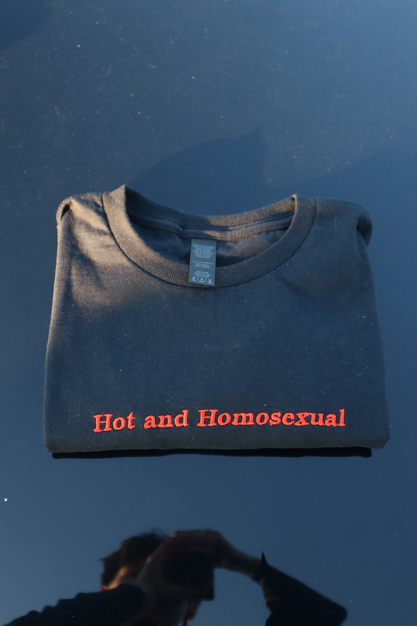 Embroidered hot and homo, Short Sleeve, Petite fit, Unisex, Long Crop Top