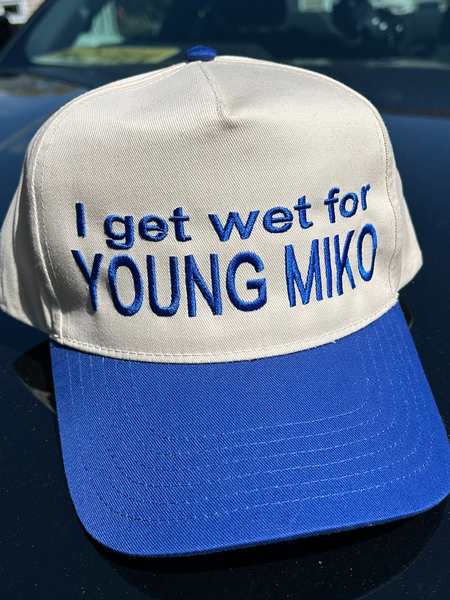 Embroidered I Get Wet for Miko Hat, Unisex, Adult