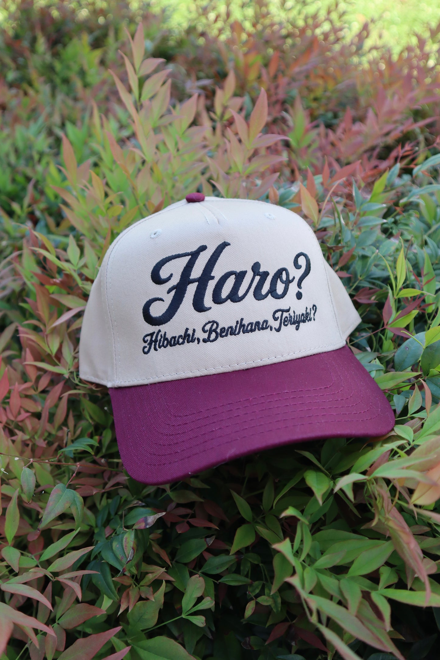 Embroidered Haro? Unisex, Adult, Hat