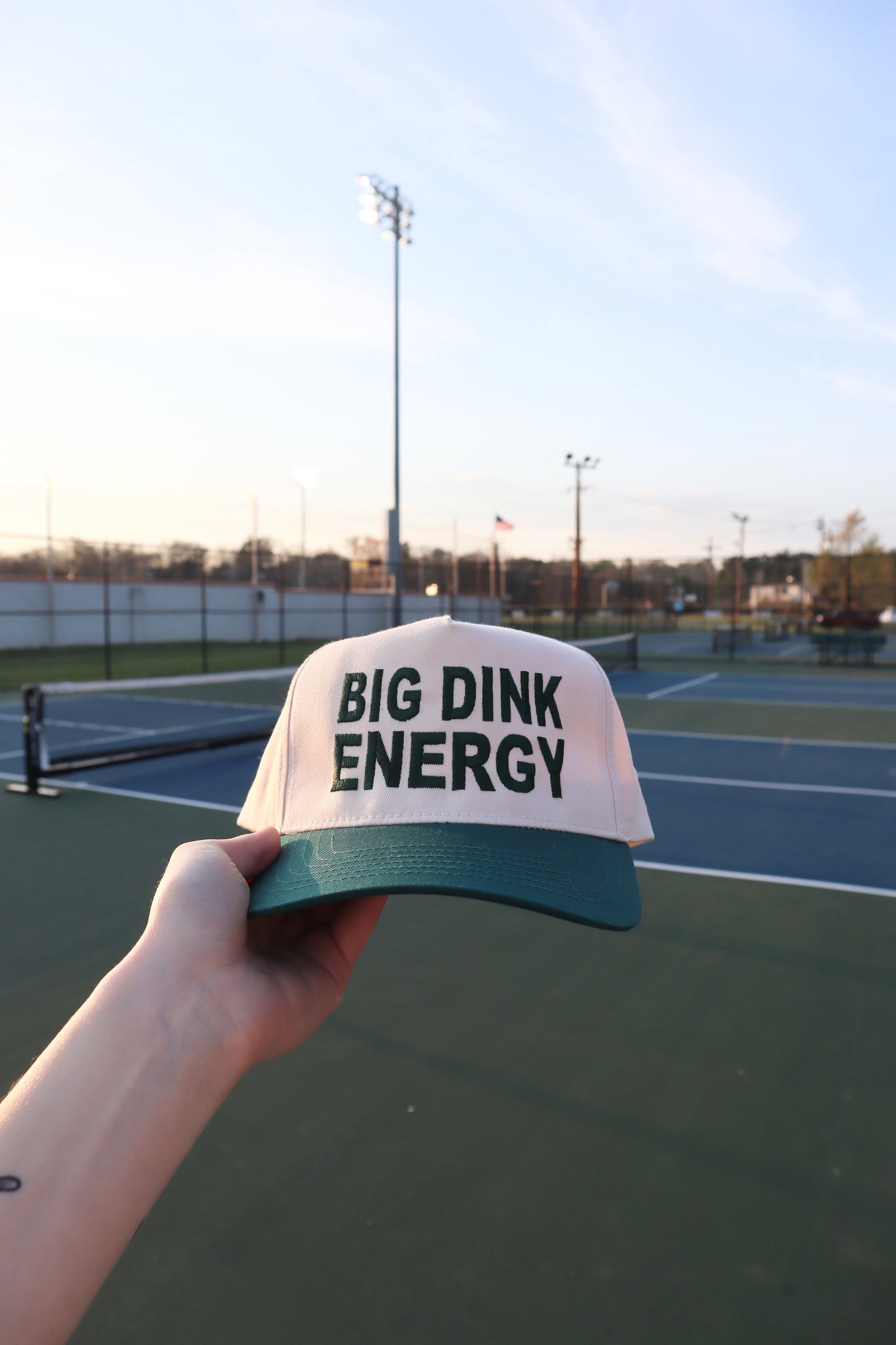 Embroidered Big Dink Energy Hat, Unisex, Adult
