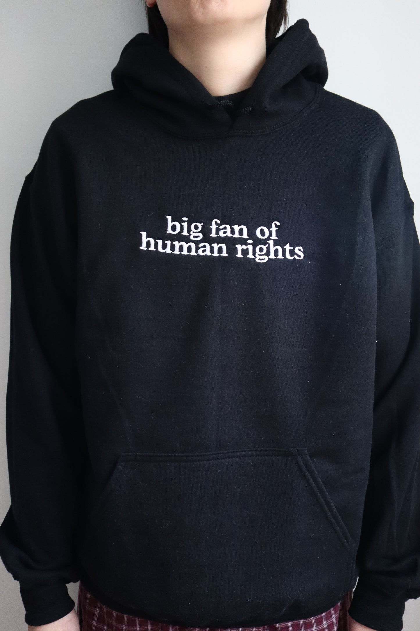 Embroidered "big fan of human rights", Hoodie or Crew Neck, Long Sleeve, Classic fit, Unisex, Adult