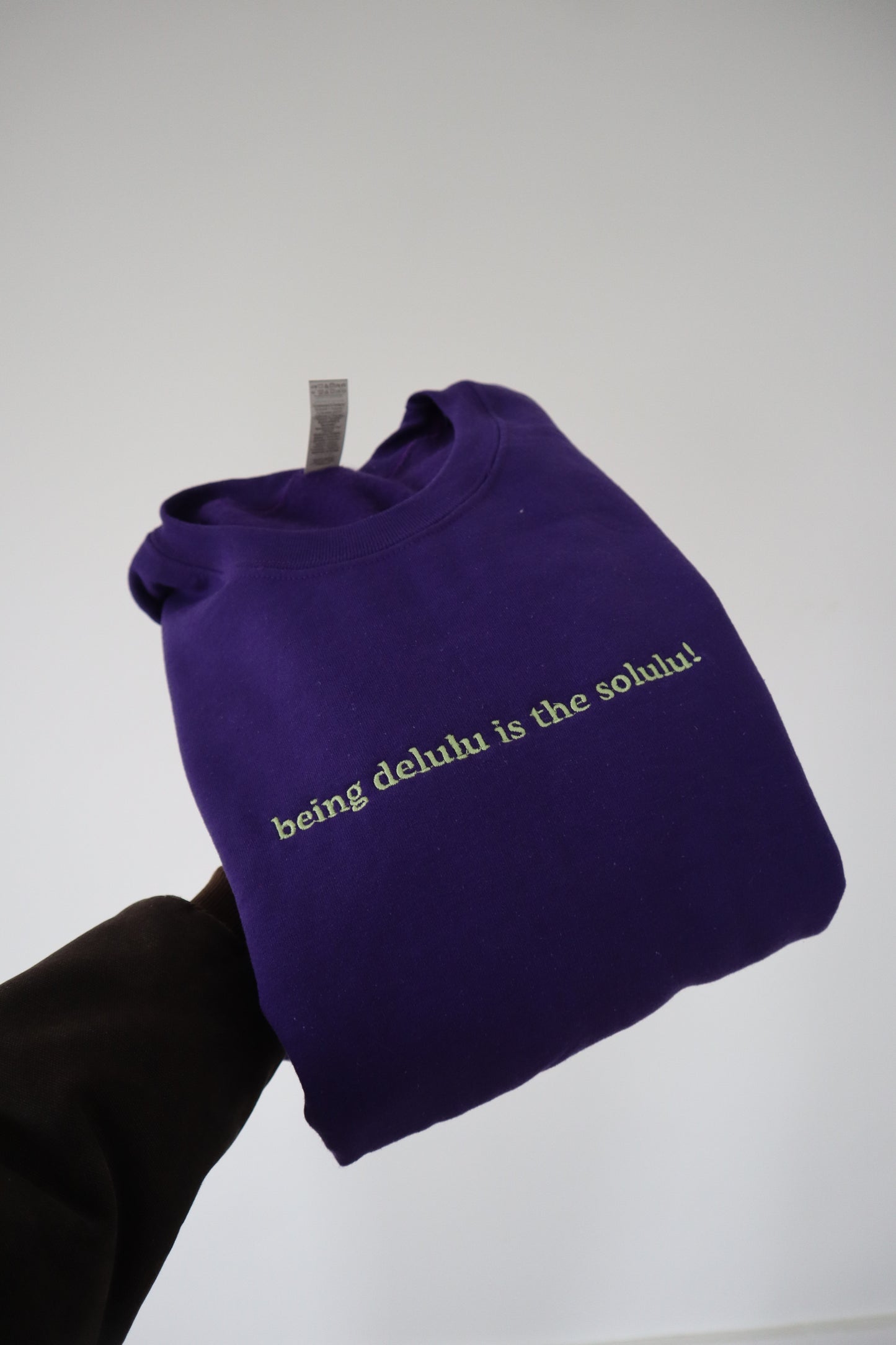 Embroidered 'being delulu is the solulu!' Hoodie or Crew Neck, Long Sleeve, Classic fit, Unisex, Adult