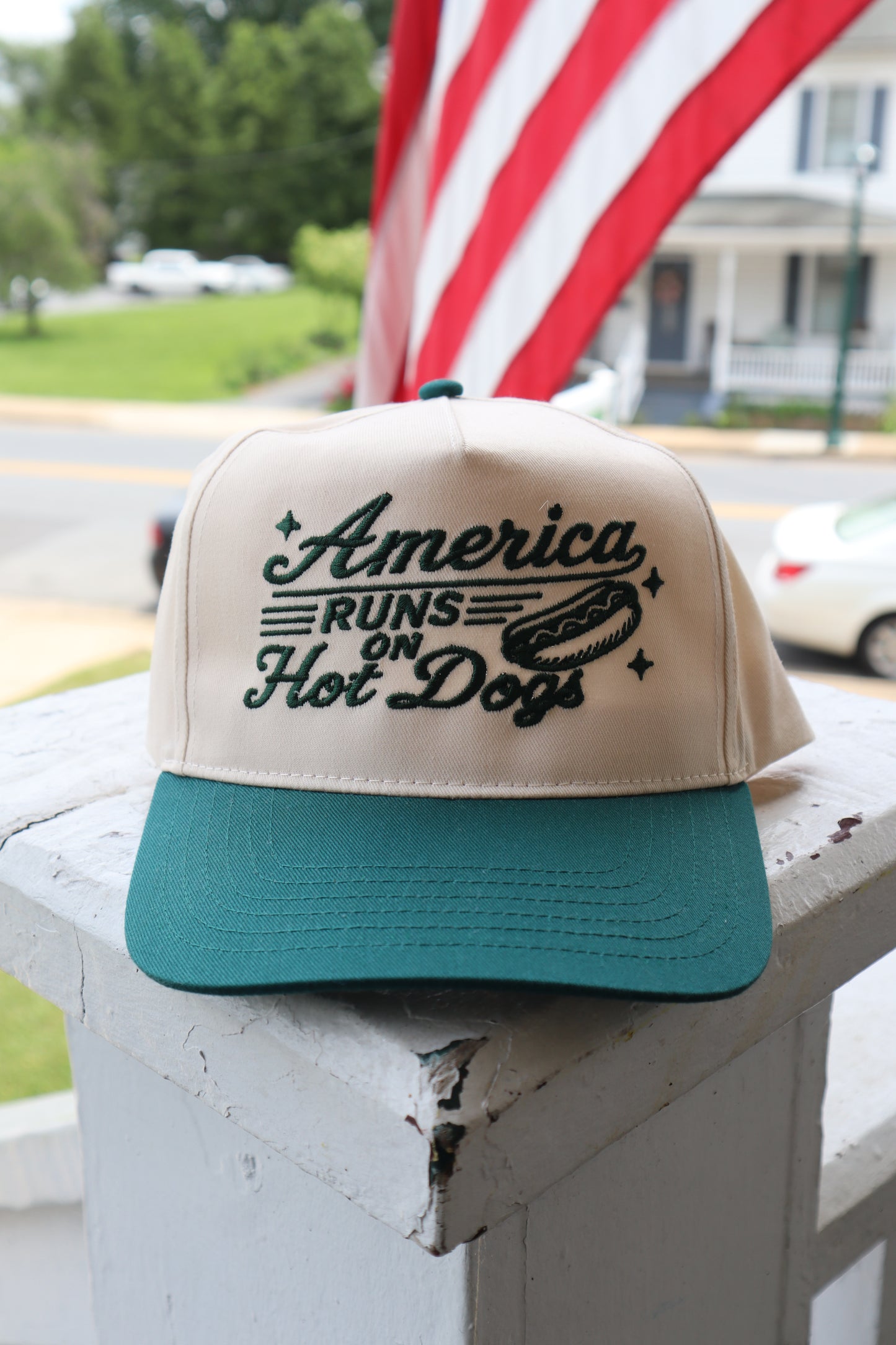 Embroidered America Runs on Hot Dogs Hat, Unisex, Adult