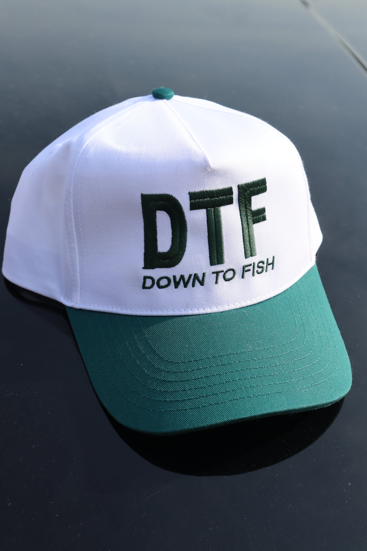 Embroidered "DTF down to fish" Hats, Unisex, Adult
