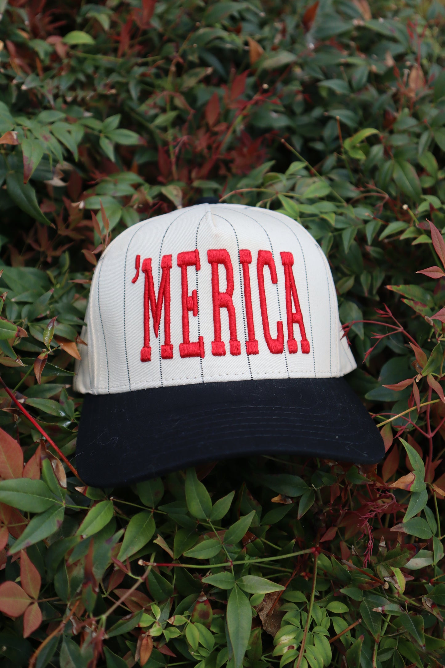 Embroidered Merica Pinstripe Baseball Cap Unisex, Adult, Hat
