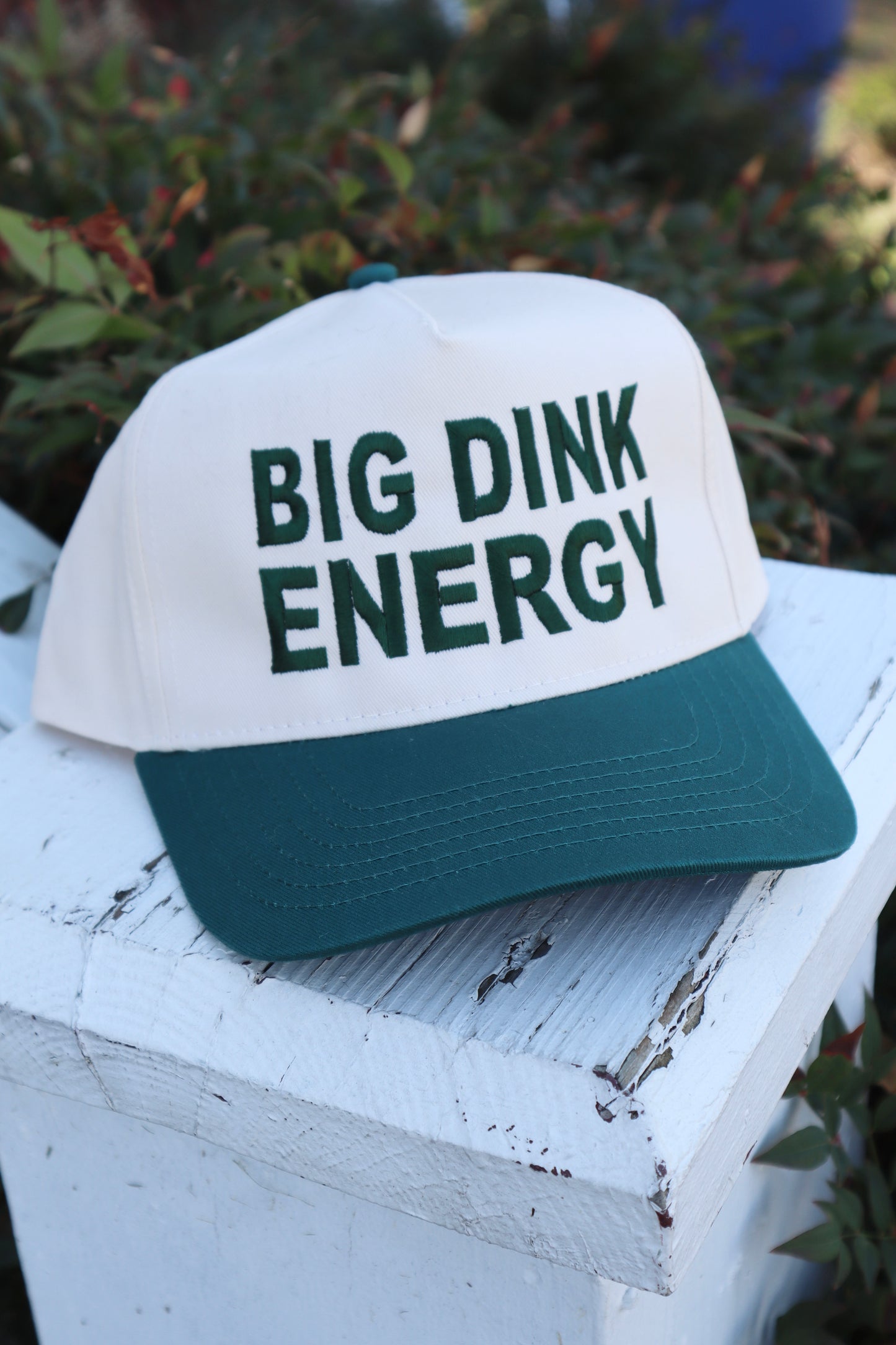 Embroidered Big Dink Energy Hat, Unisex, Adult