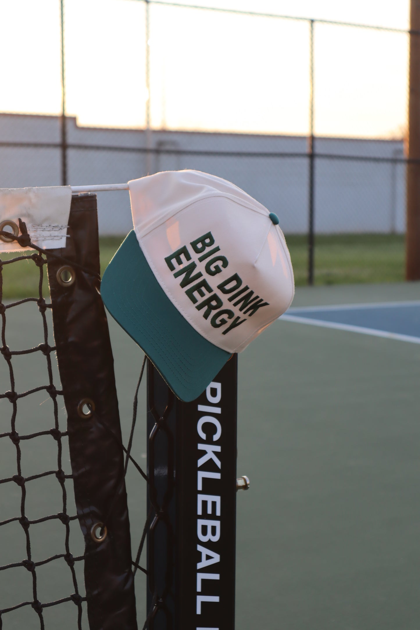 Embroidered Big Dink Energy Hat, Unisex, Adult