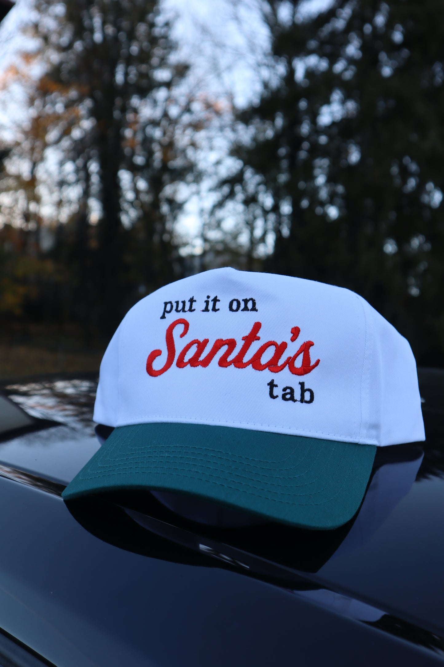 Embroidered 'Put it on Santas Tab' Hat, Unisex, Adult