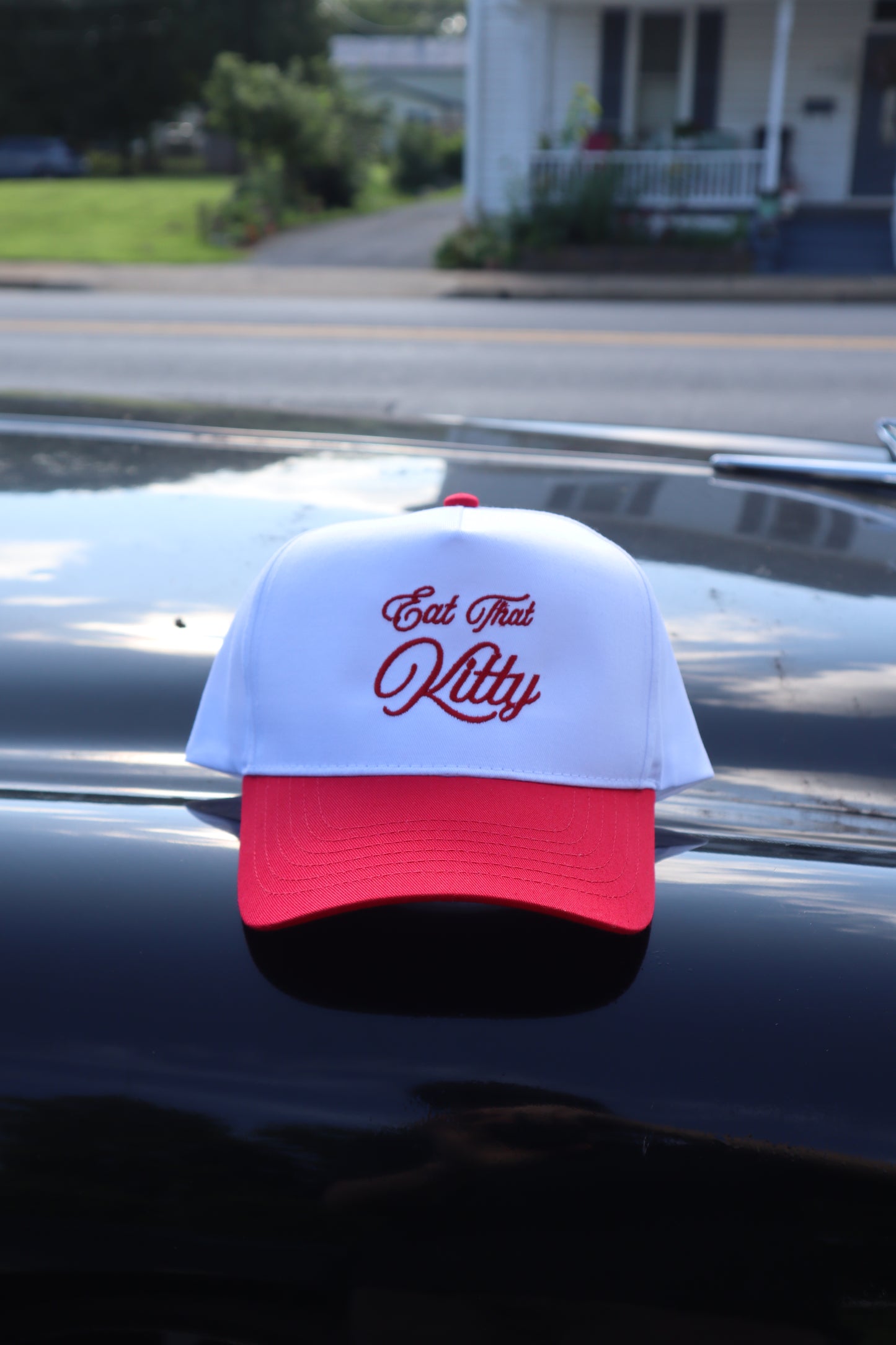 Embroidered 'Eat That Kitty' Hat, Unisex, Adult