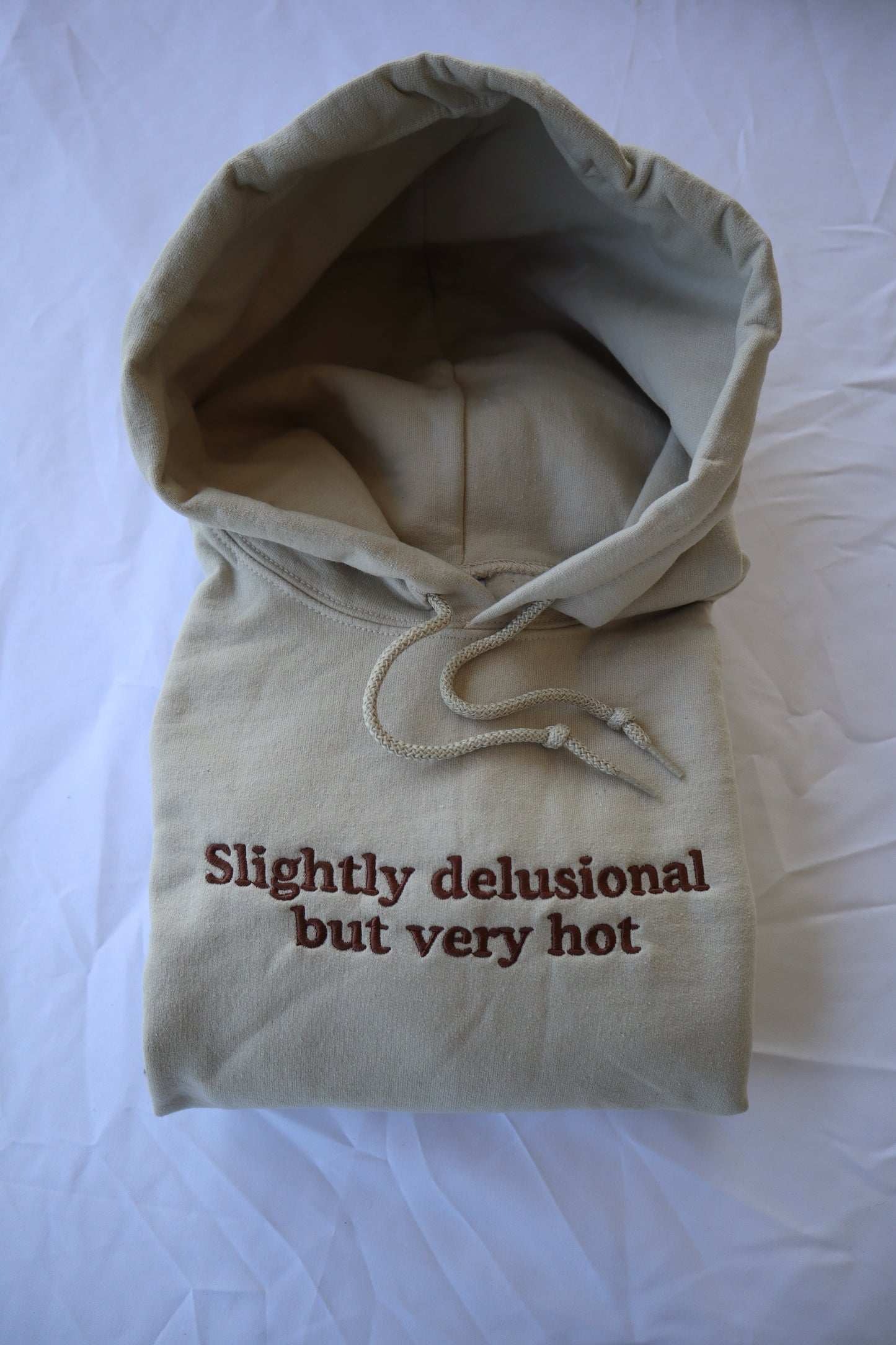 Embroidered 'Slightly Delusional but Very Hot' Hoodie or Crew Neck, Long Sleeve, Classic fit, Unisex, Adult