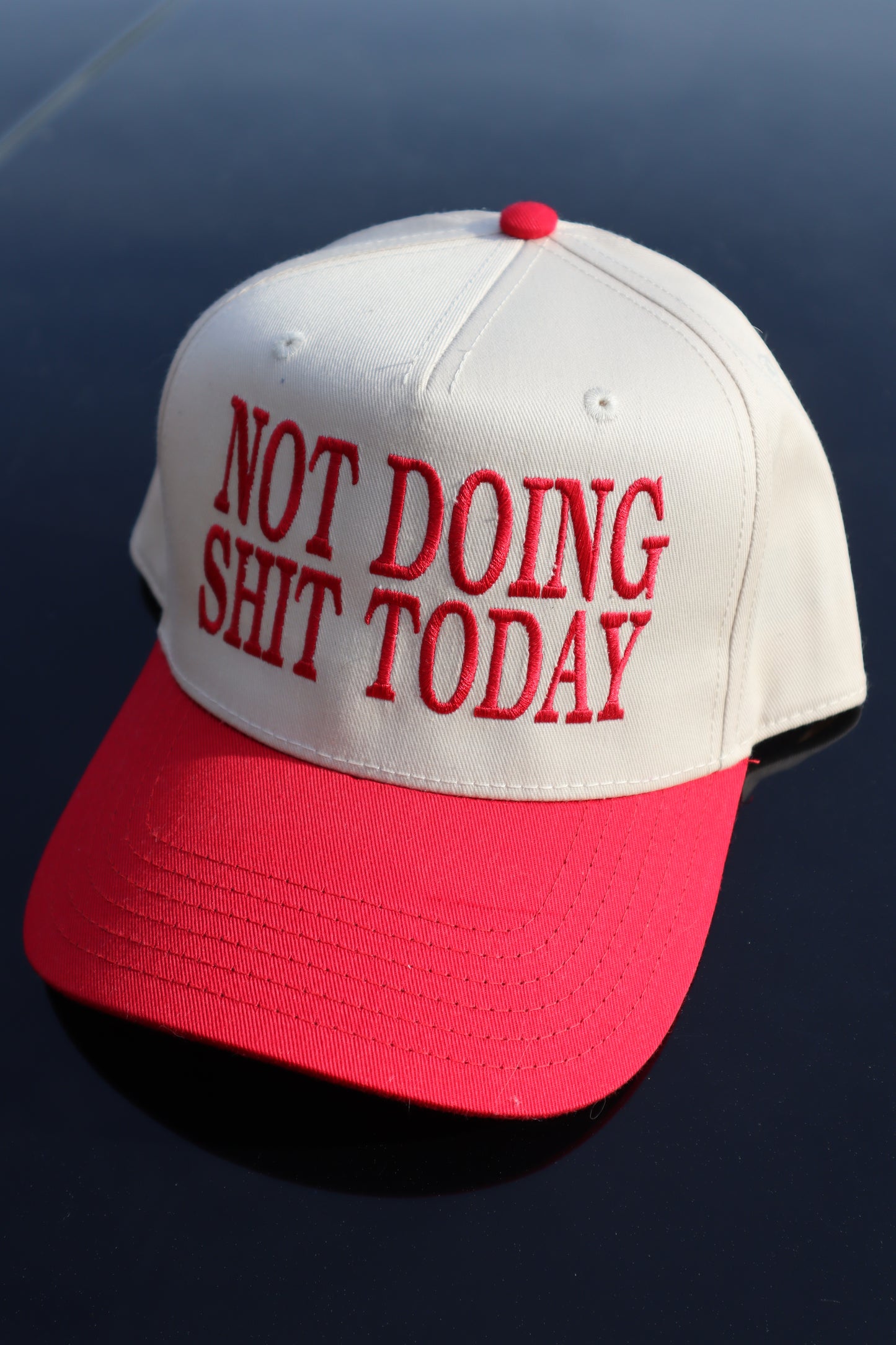Embroidered "Not Doing Shi Today" Hats, Unisex, Adult