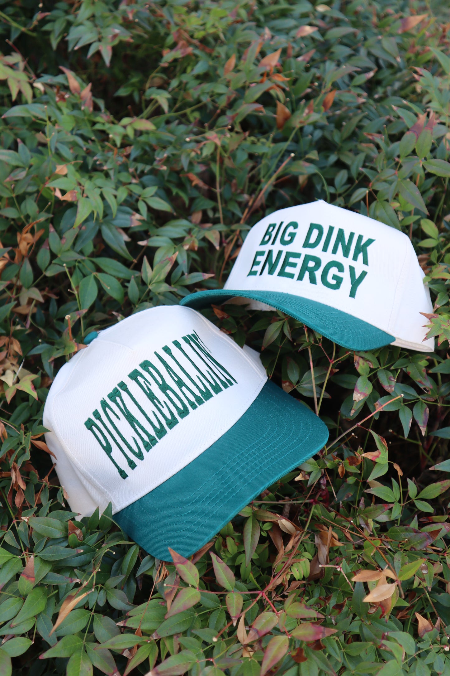 Embroidered Big Dink Energy Hat, Unisex, Adult